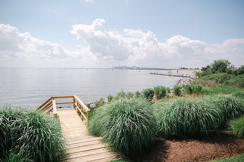 A wooden walkway leads through tall grass to a calm shoreline with rocky edges under a partly cloudy sky.