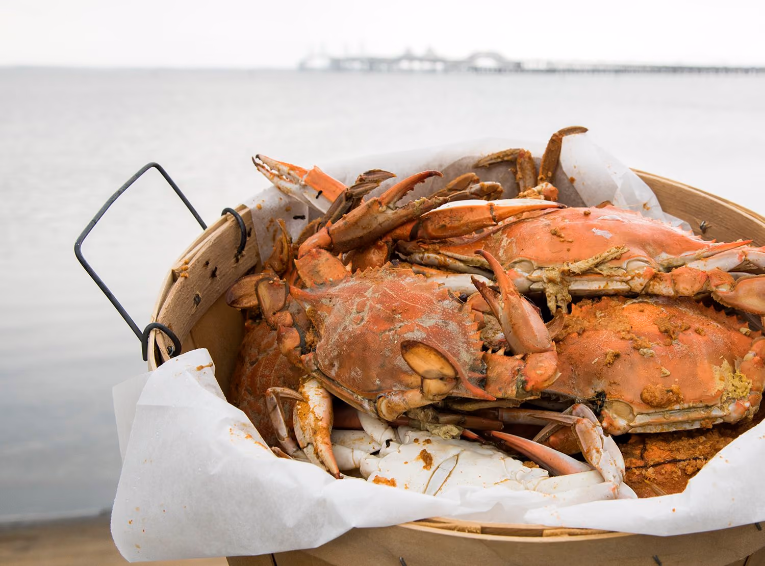 Outdoor crab feast activity at Chesapeake Bay Beach Club