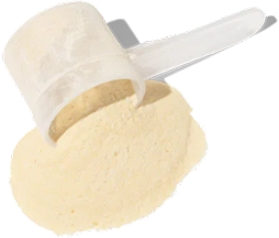 White plastic scoop filled with beige protein powder on a small pile of powder.