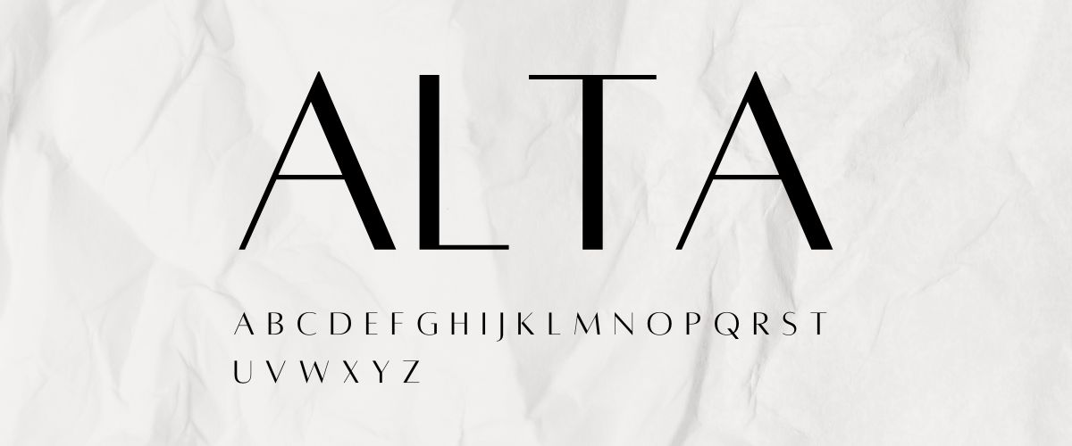 Top Canva Fonts for Social Media Design