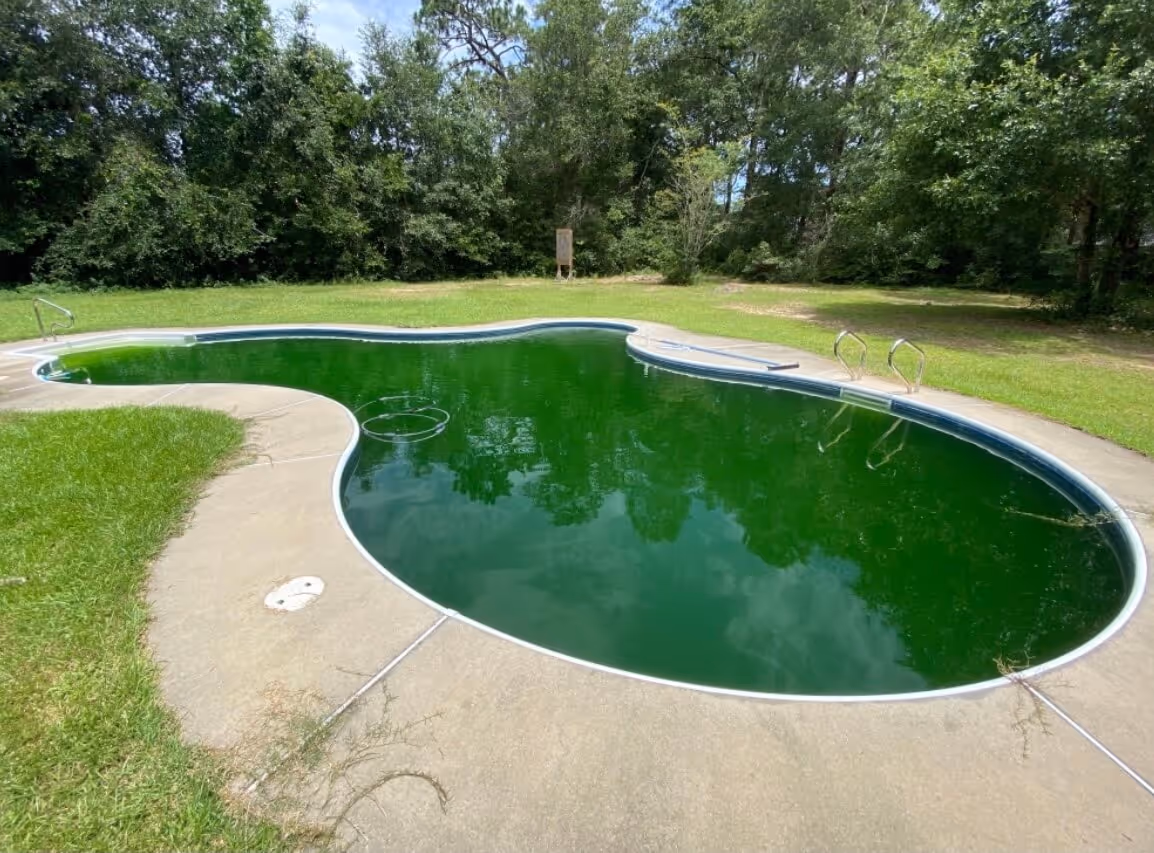 Outdoor kidney-shaped swimming pool with green algae-filled water surrounded by grass and trees.