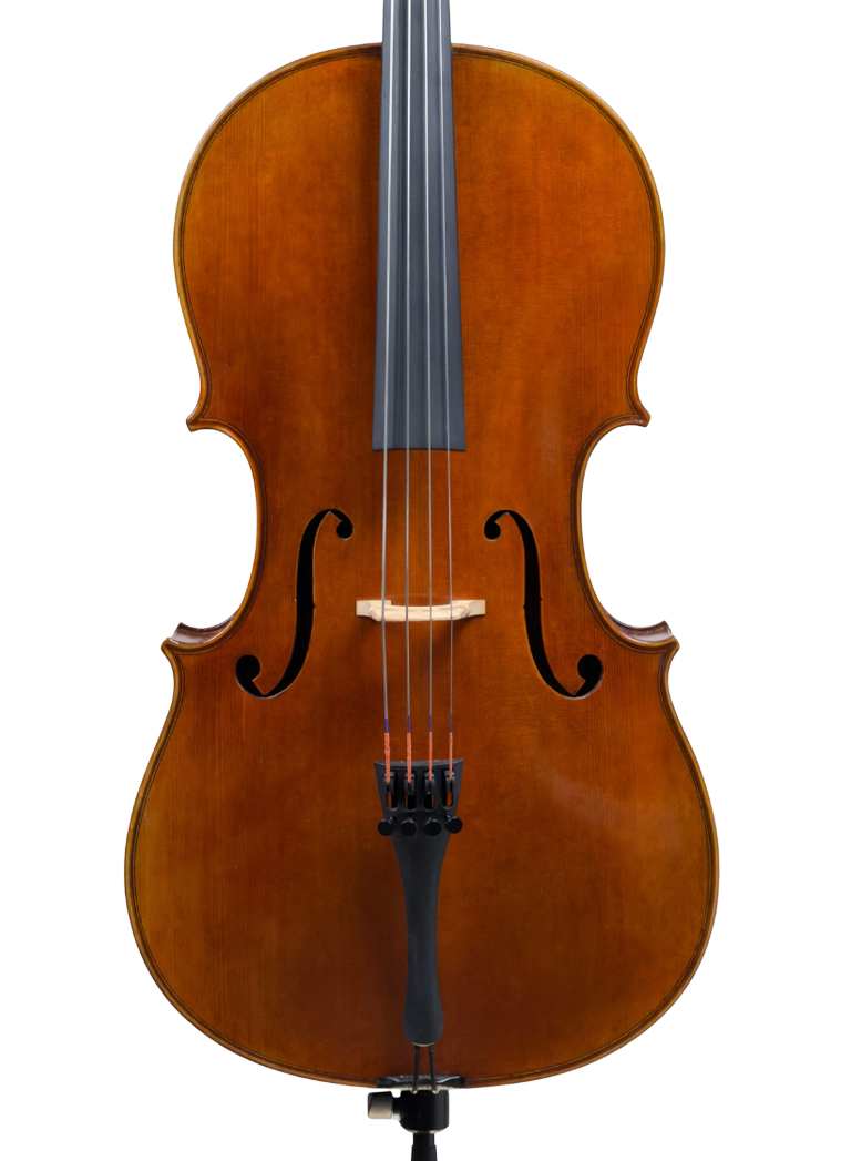 Mute strings Väre sello 1/4 edestä