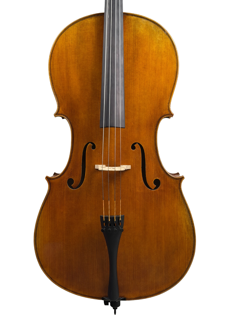 Mute strings Väre sello 4/4 edestä