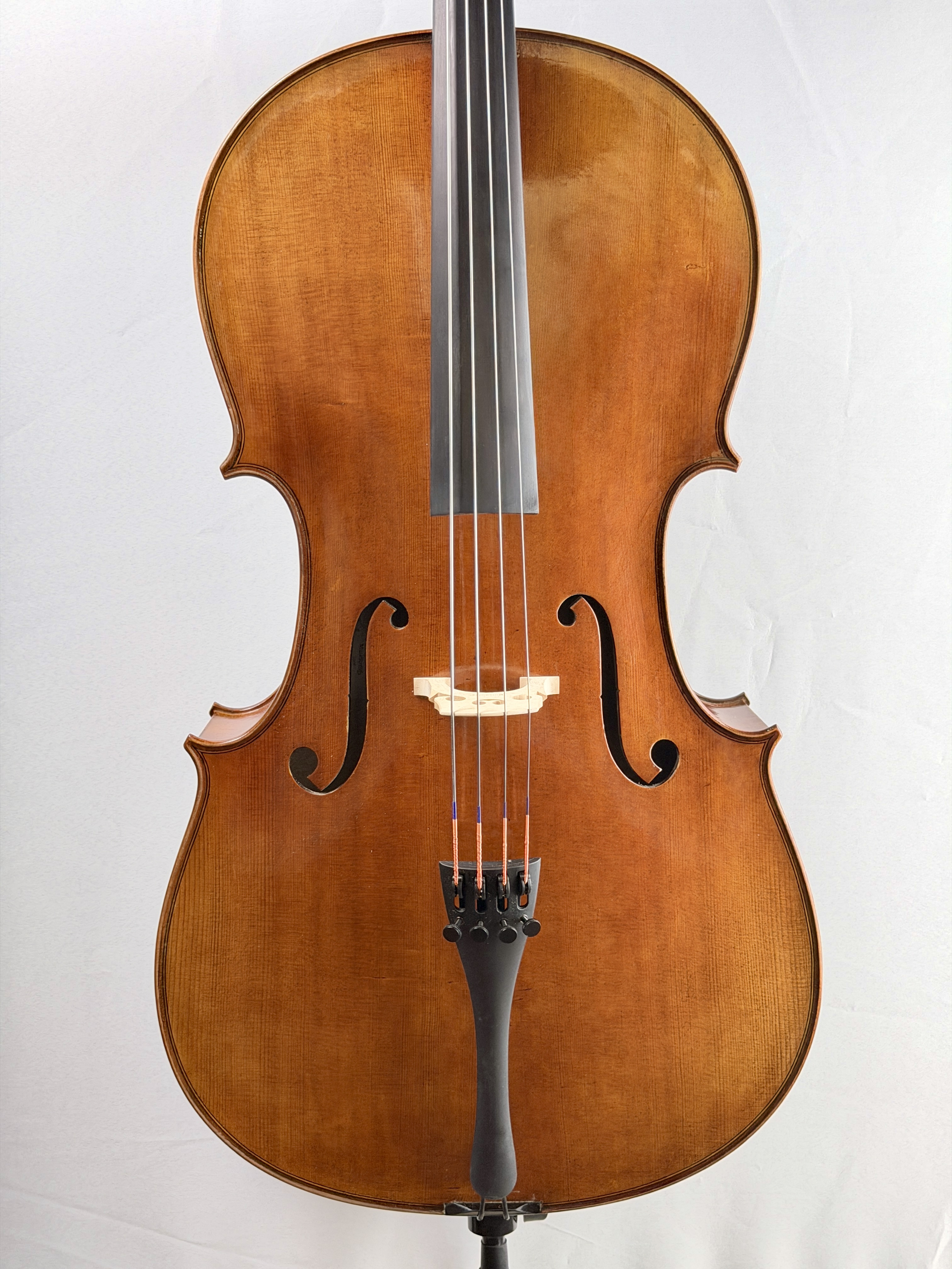 Mute strings Väre sello 1/4 edestä