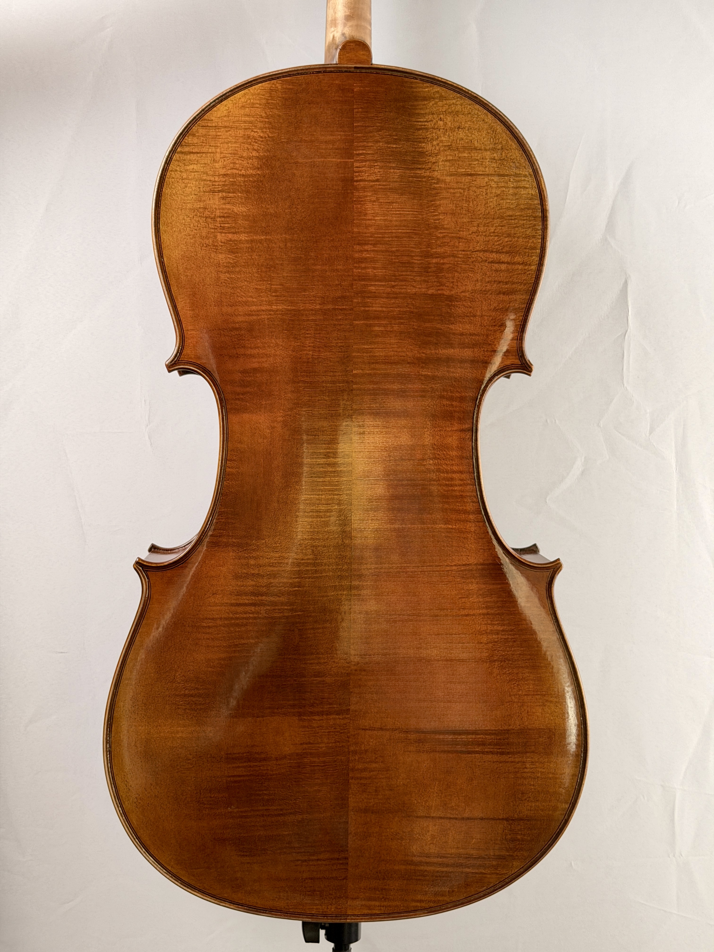 Mute strings Väre sello 1/4 takaa