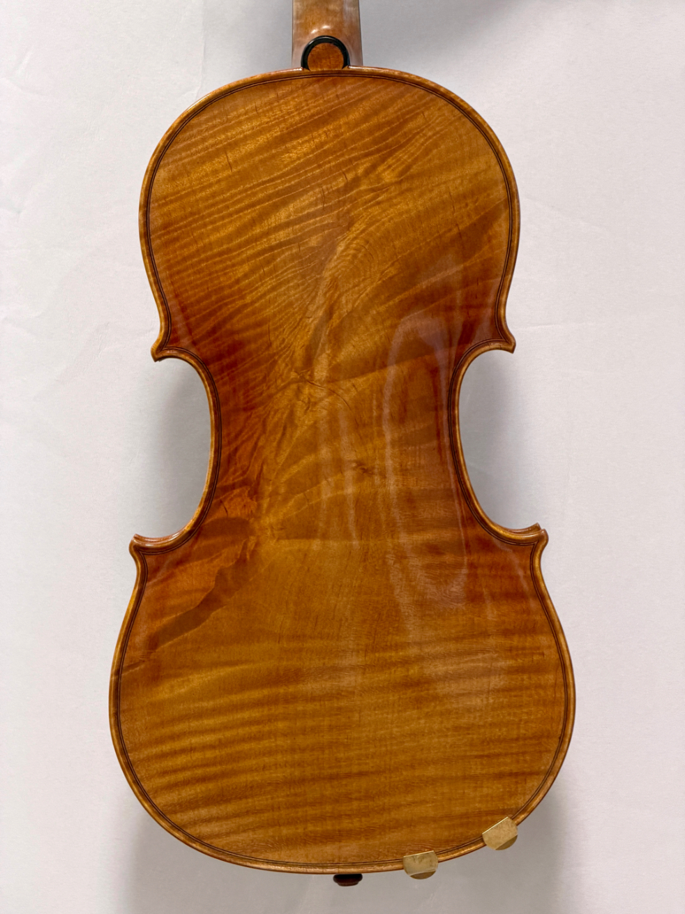 Mute strings Loimu viulu 4/4 takaa