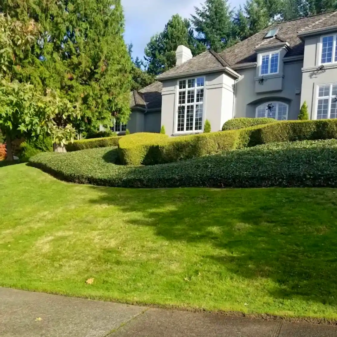 A green lawn maintained by Marcos Landscaping.