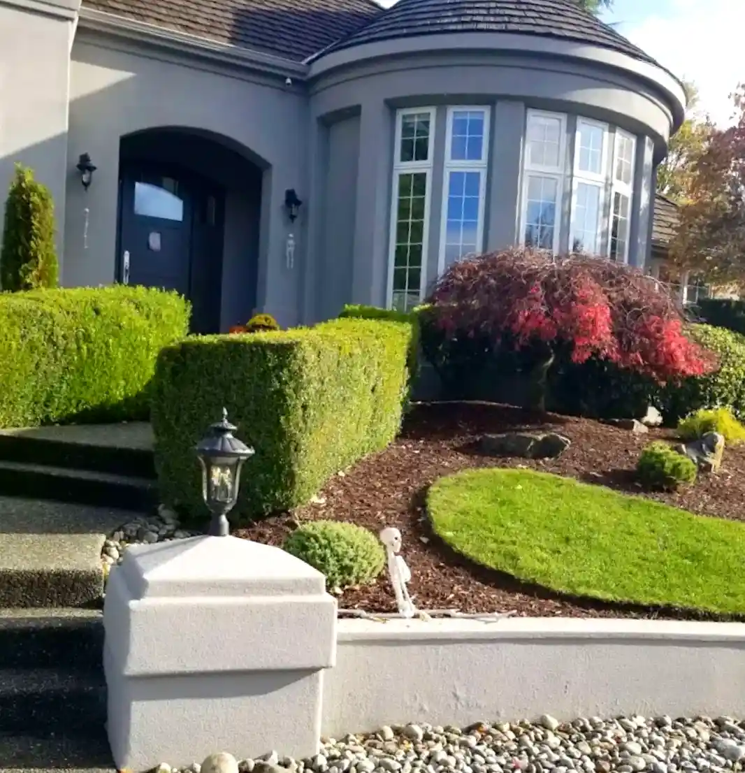 A well maintained lawn / shrubs at university place, WA.