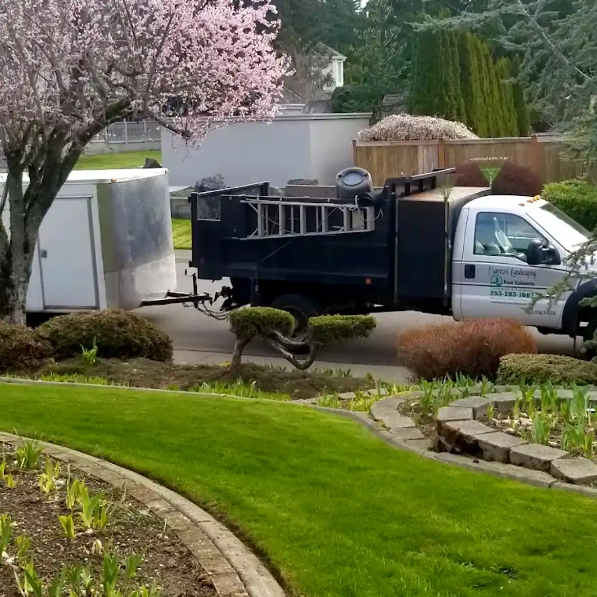 lawn maintenance in tacoma wa, picture also shows a Marcos landscaping truck with trailer.