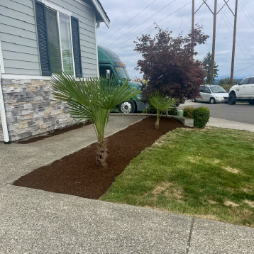 bellevue landscaping