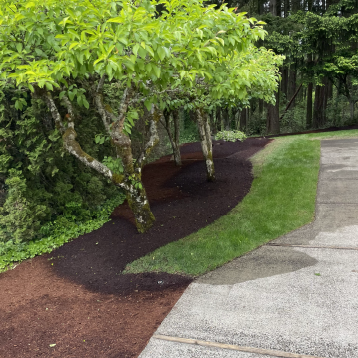 marcos landscaping service