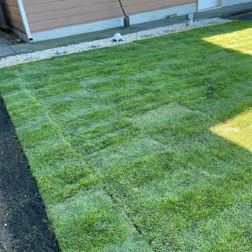 sod installation tacoma