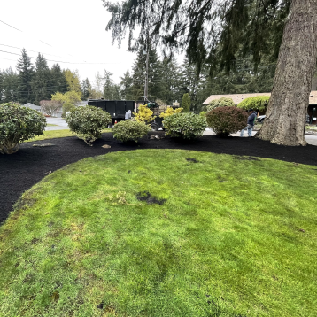 university place black mulch installation