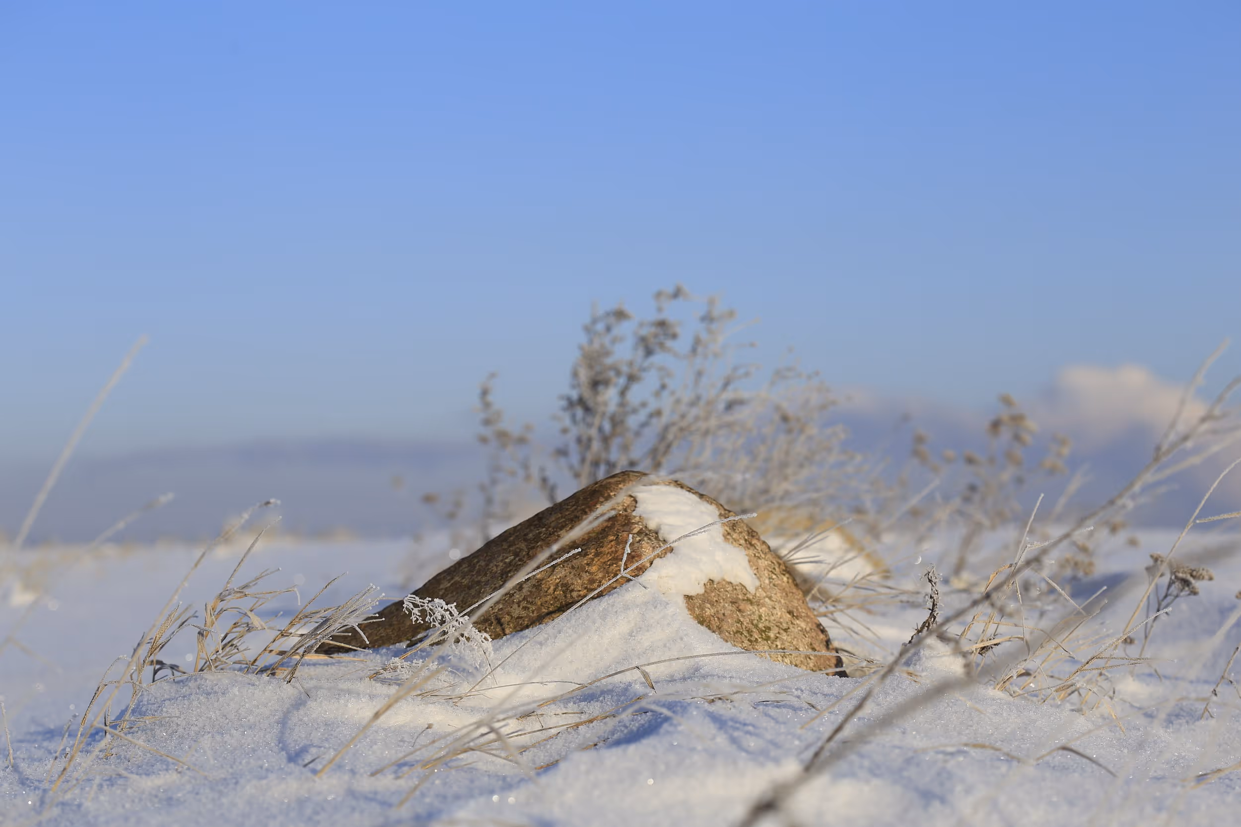 Śnieg i wystający ponad nim kamień - głaz narzutowy.