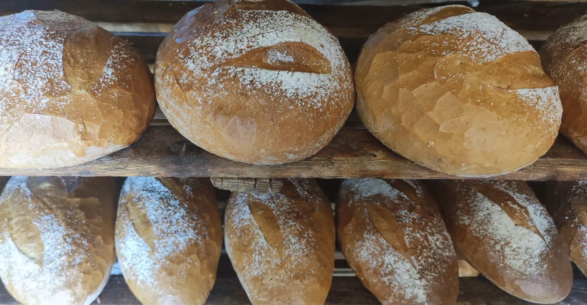 Bliskie ujęcie upieczonych bochenków chleba ułożonych na dwóch poziomach drewnianego regału. Na górnej półce leżą trzy duże, okrągłe chleby, a na dolnej widoczne są podłużne bochenki oprószone mąką.