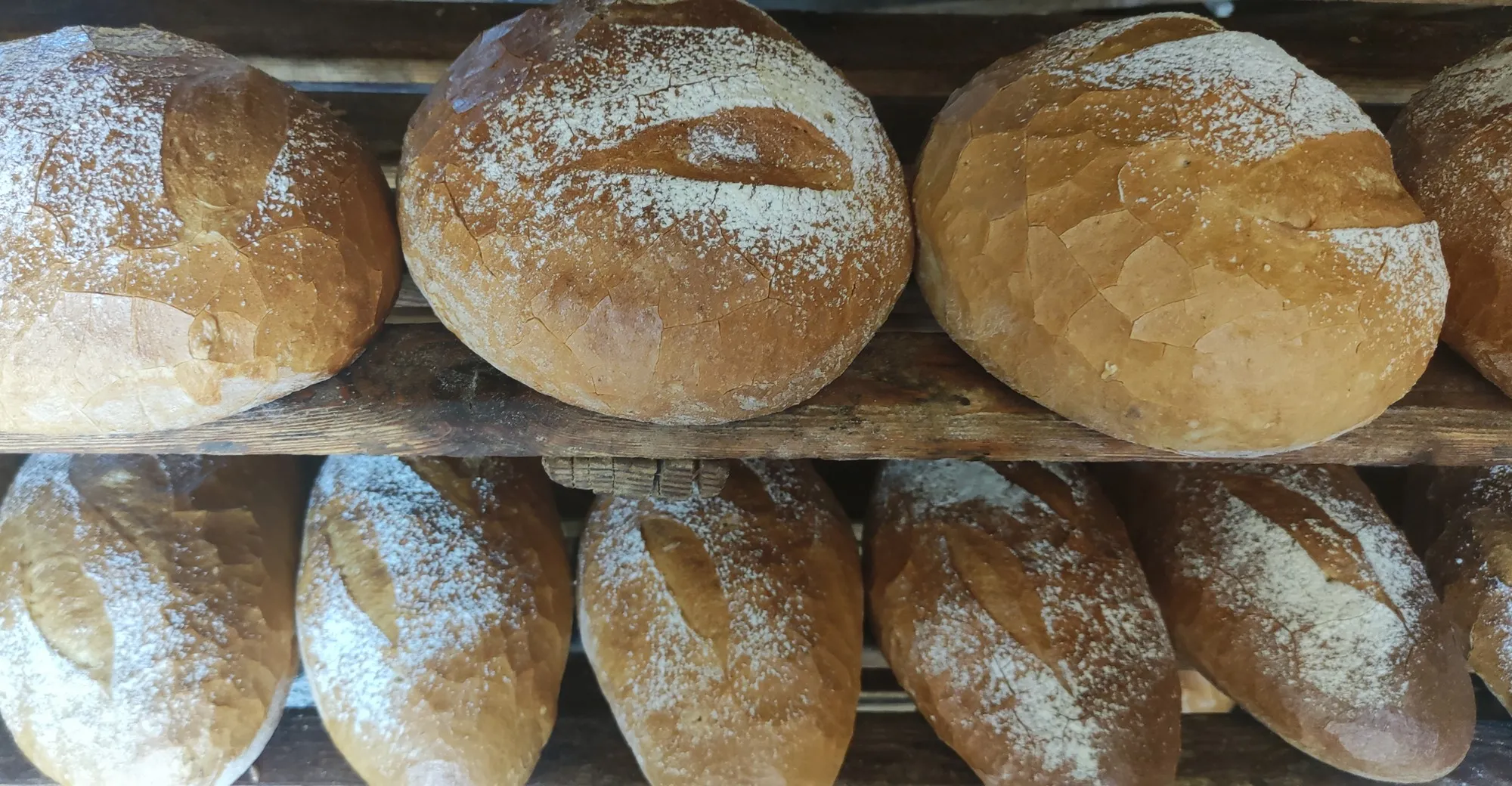 Bliskie ujęcie upieczonych bochenków chleba ułożonych na dwóch poziomach drewnianego regału. Na górnej półce leżą trzy duże, okrągłe chleby, a na dolnej widoczne są podłużne bochenki oprószone mąką.