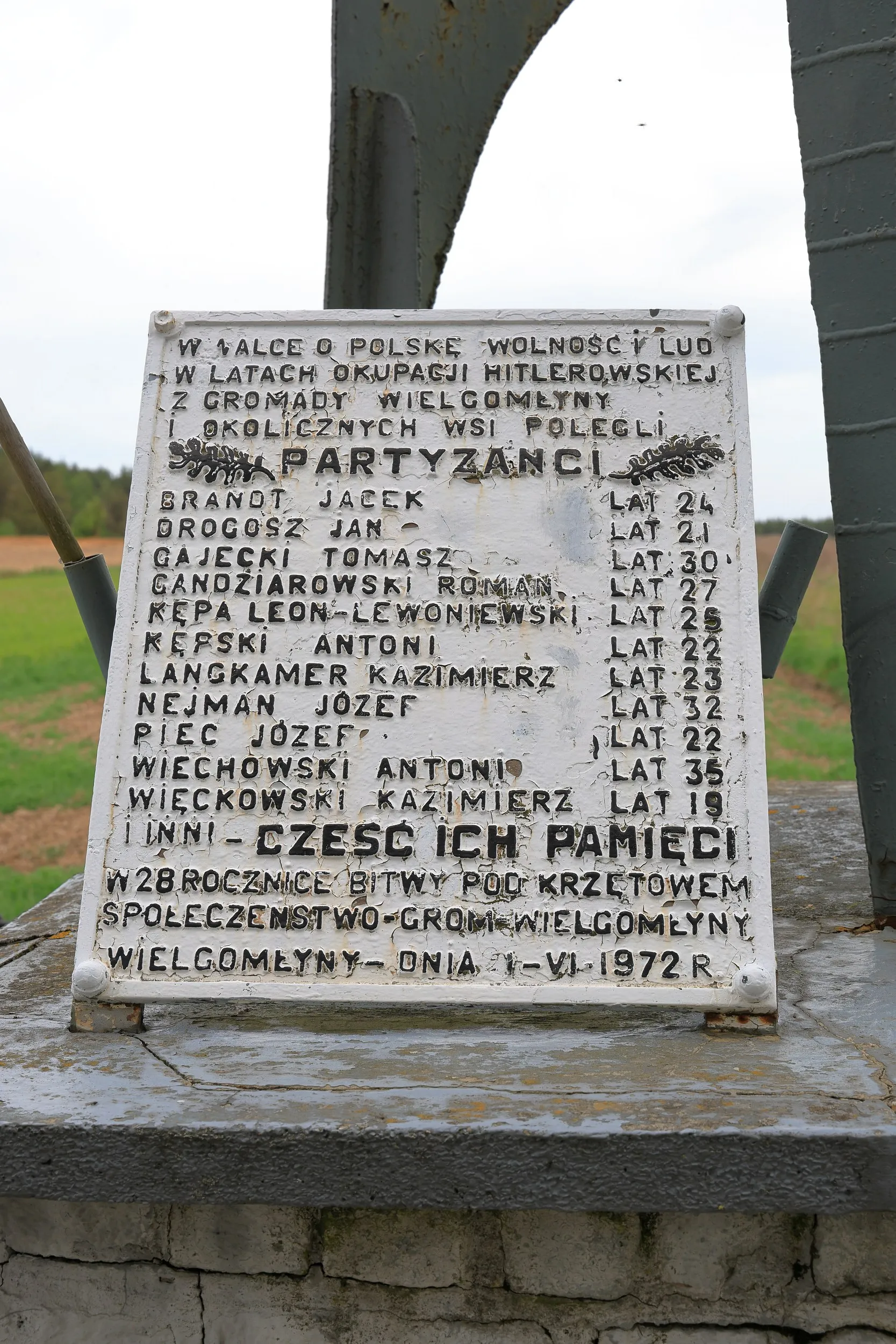Zbliżenie na tablicę umieszczoną przy pomniku. Inskrypcja informuje o partyzantach z okolicznych wsi, którzy polegli podczas okupacji niemieckiej. Na tablicy wymieniono nazwiska poległych oraz ich wiek. U dołu znajduje się dedykacja oddająca im cześć 