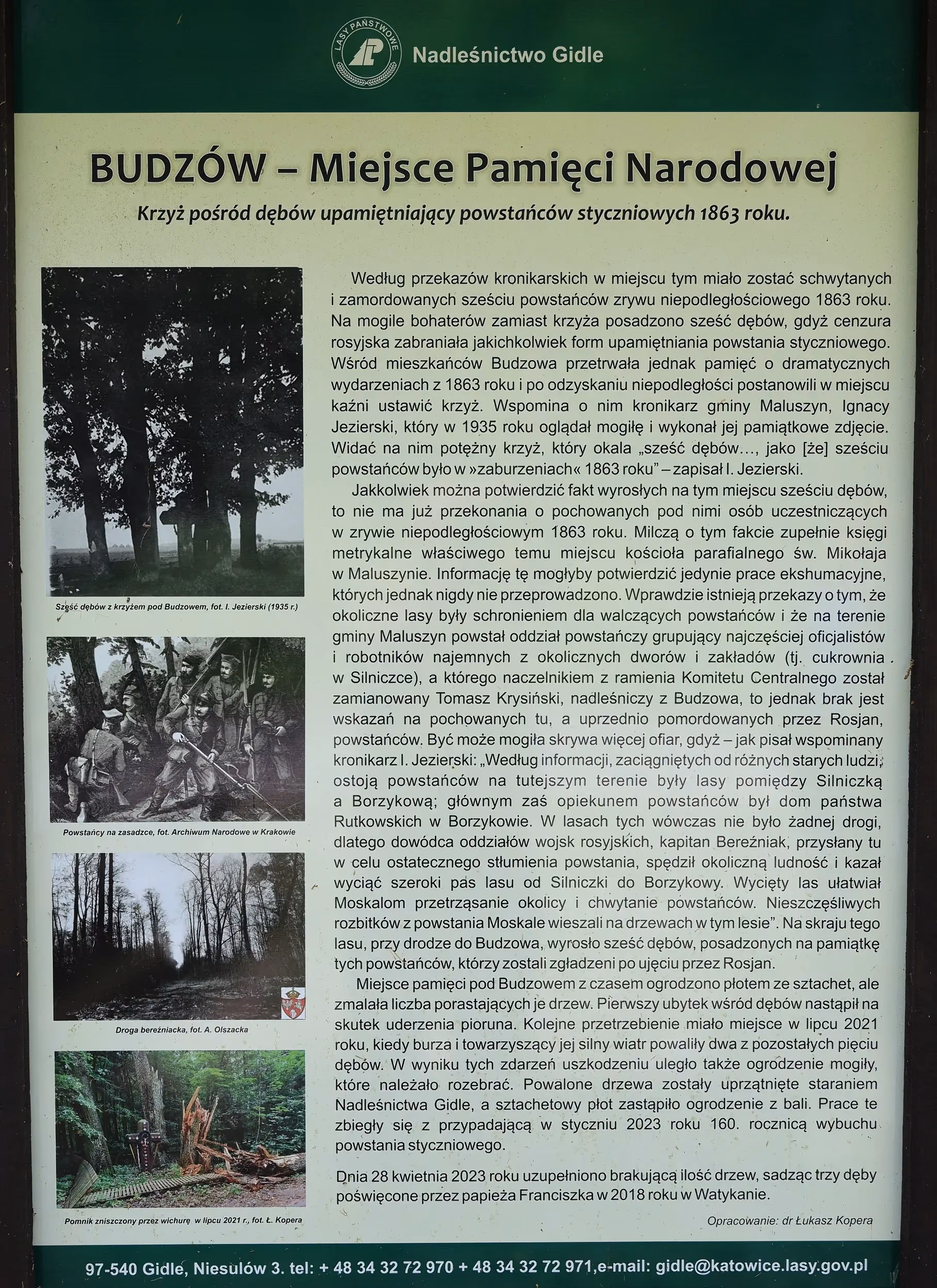 Tablica informacyjna opisująca miejsce pamięci narodowej w Budzowie, poświęcone powstańcom styczniowym z 1863 roku. Tablica  stoi w terenie leśnym