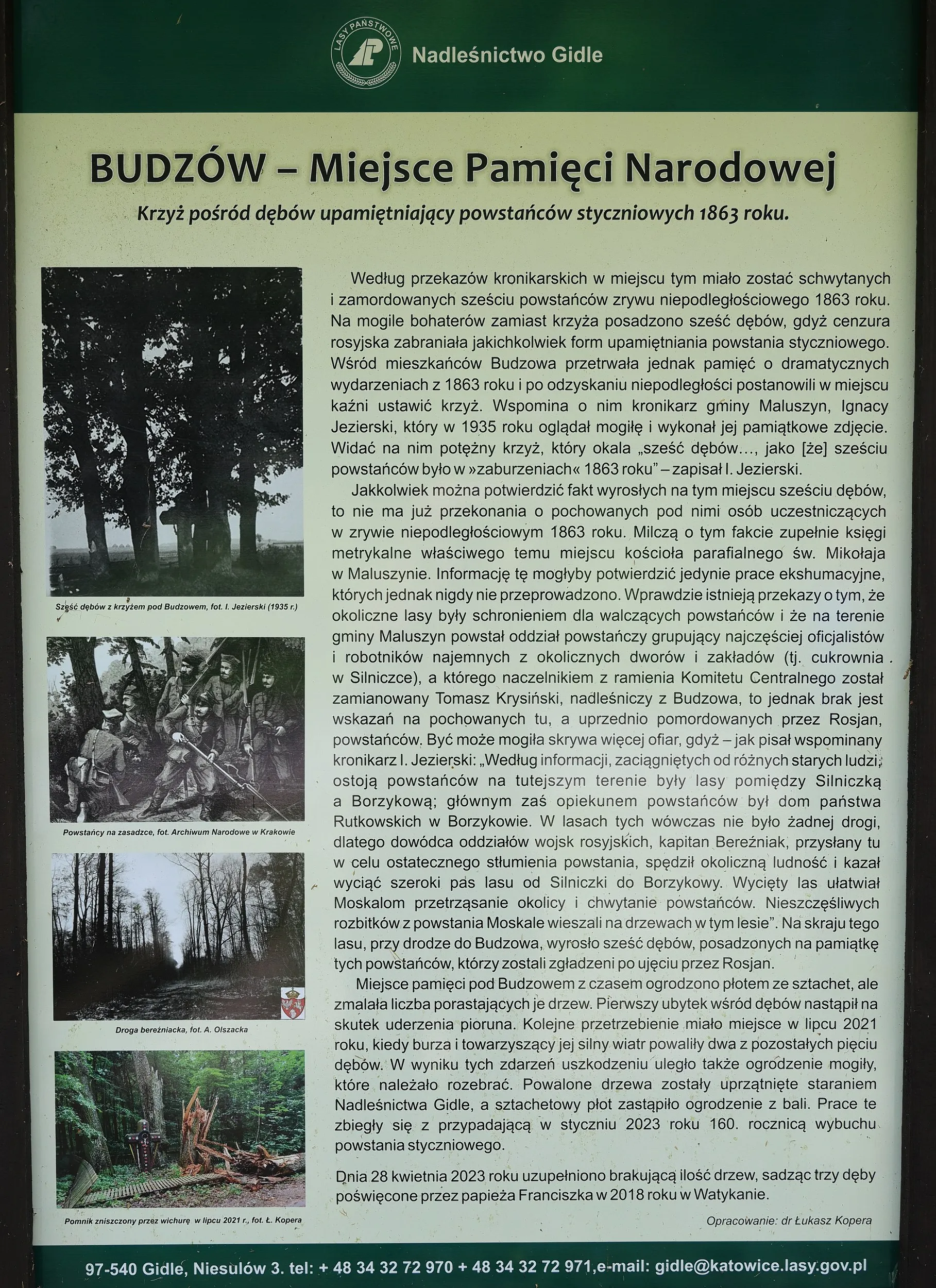 Tablica informacyjna opisująca miejsce pamięci narodowej w Budzowie, poświęcone powstańcom styczniowym z 1863 roku. Tablica  stoi w terenie leśnym