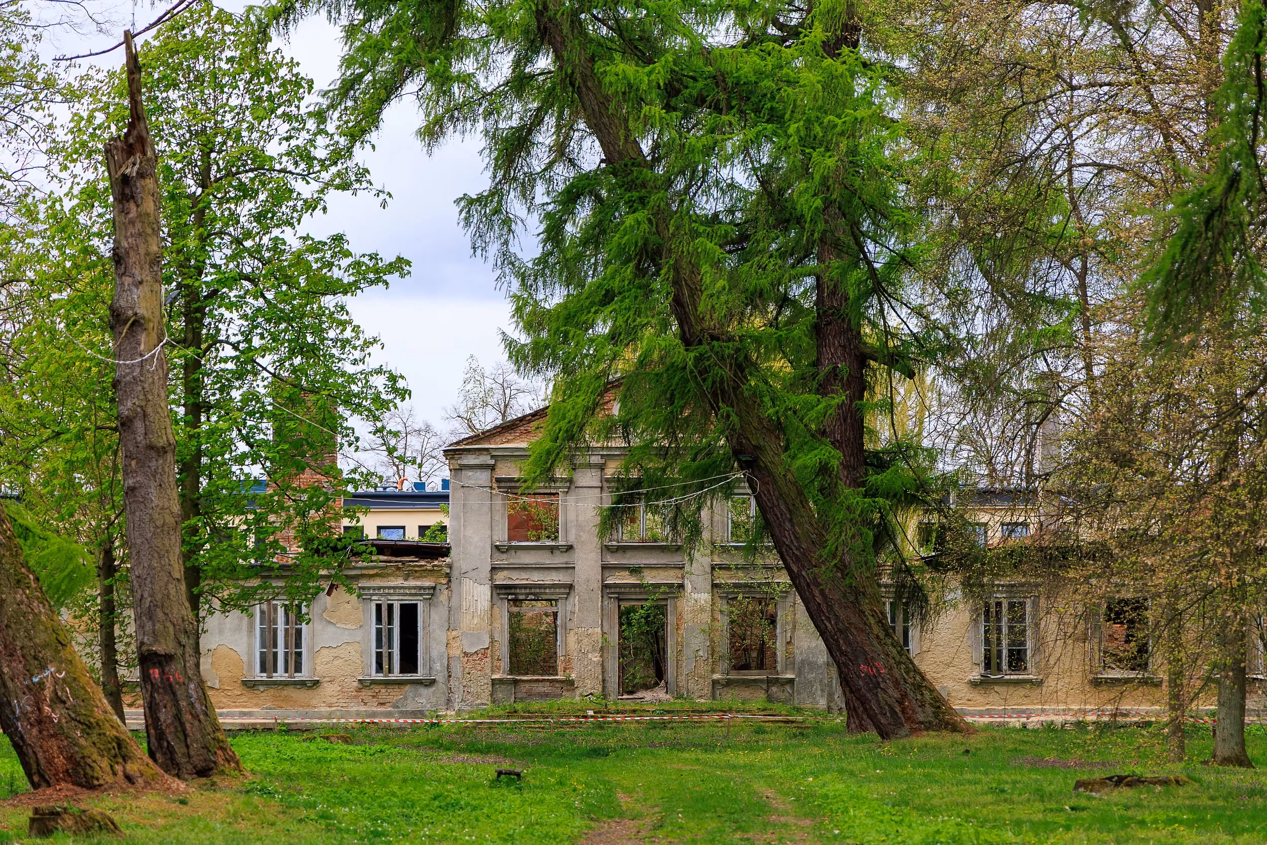 Widok ruin dworu Tymowskich przez park. Zniszczony budynek z pustymi oknami widoczny jest pomiędzy wysokimi drzewami i trawnikami.
