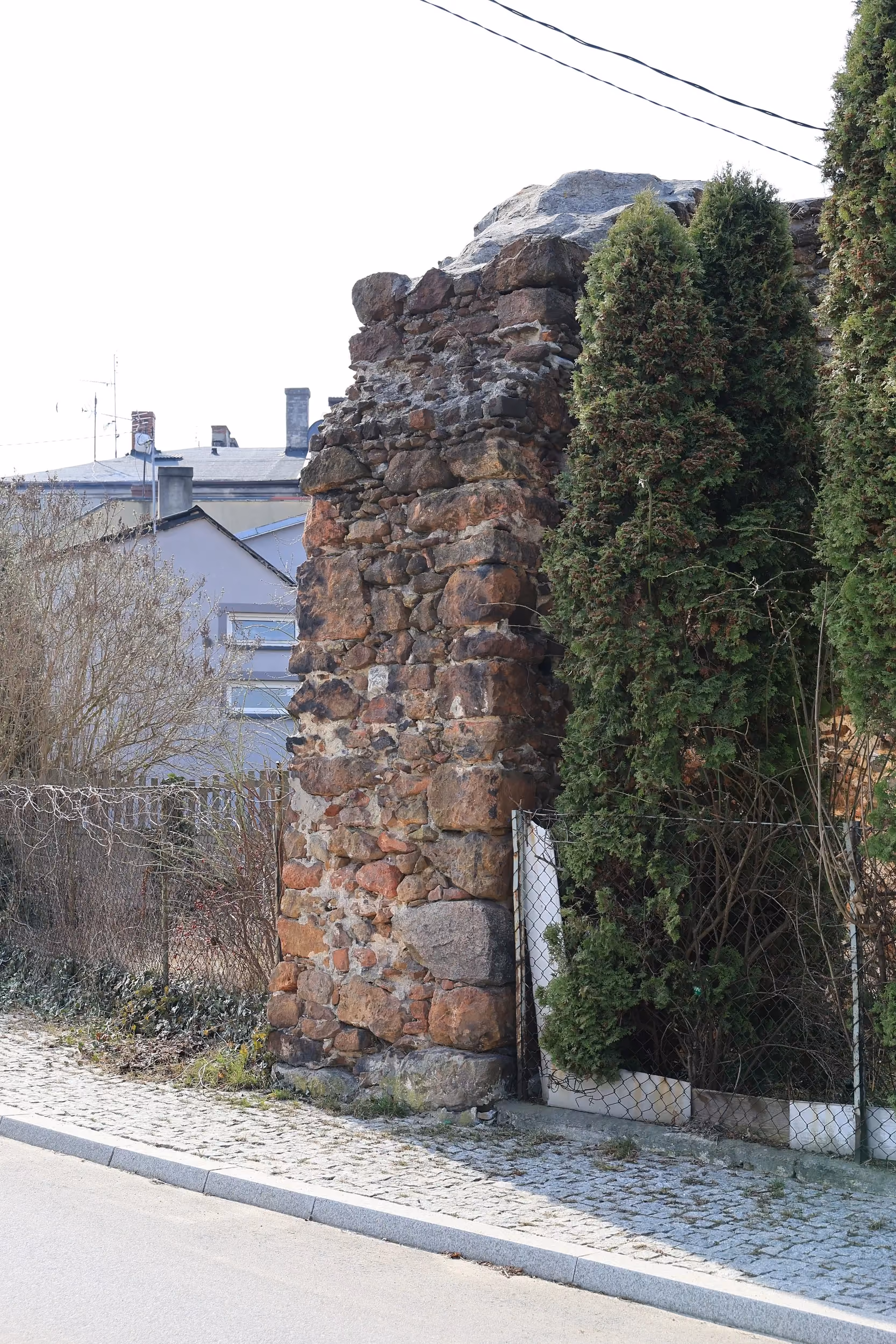 Relikt zamku w Przedborzu widziany od frontu. Zachowany fragment muru z kamienia polnego, będący pozostałością dawnej warowni królewskiej.