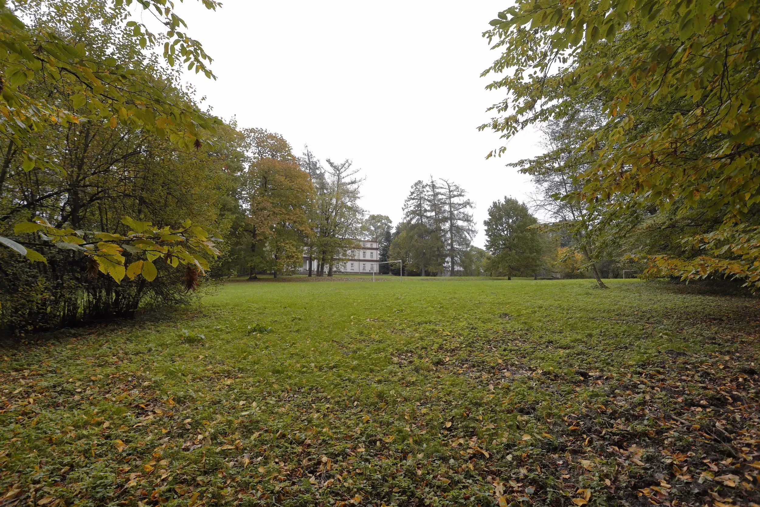 Widok na rozległą polanę w parku pałacowym w Strzałkowie. W tle, pośród drzew, widoczny jest budynek pałacu.