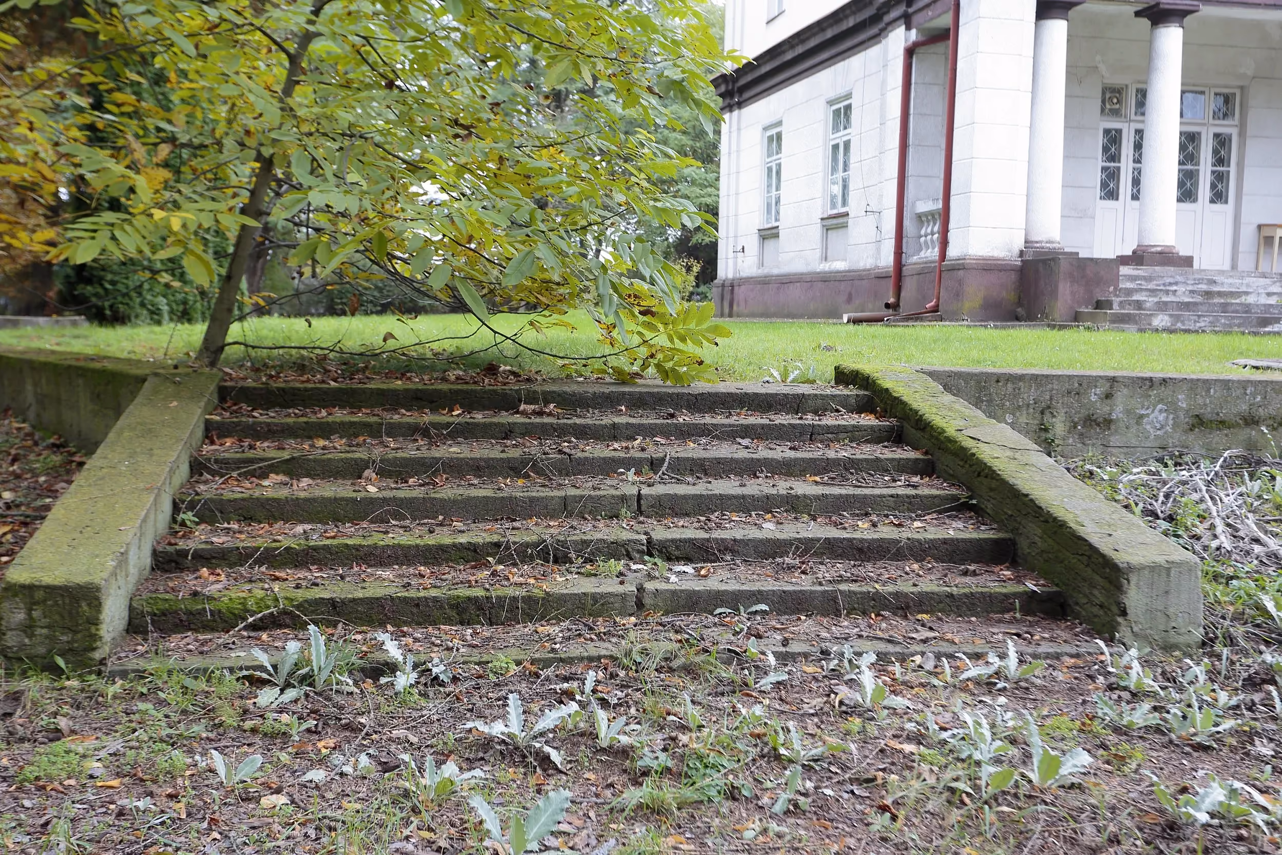 Kamienne schody prowadzące na teren pałacu w Strzałkowie. Widoczne ślady upływu czasu oraz otaczająca je parkowa zieleń.