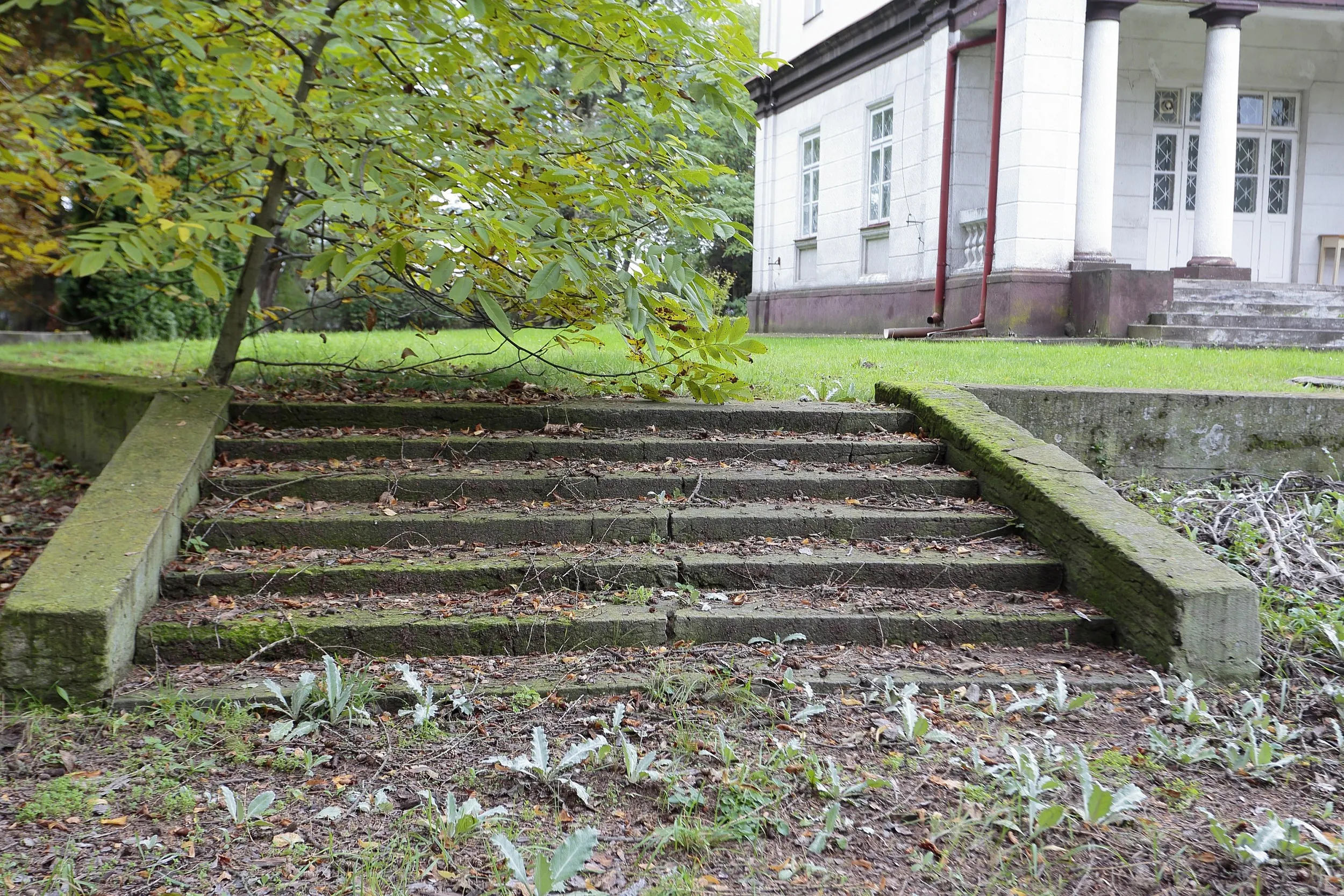 Kamienne schody prowadzące na teren pałacu w Strzałkowie. Widoczne ślady upływu czasu oraz otaczająca je parkowa zieleń.