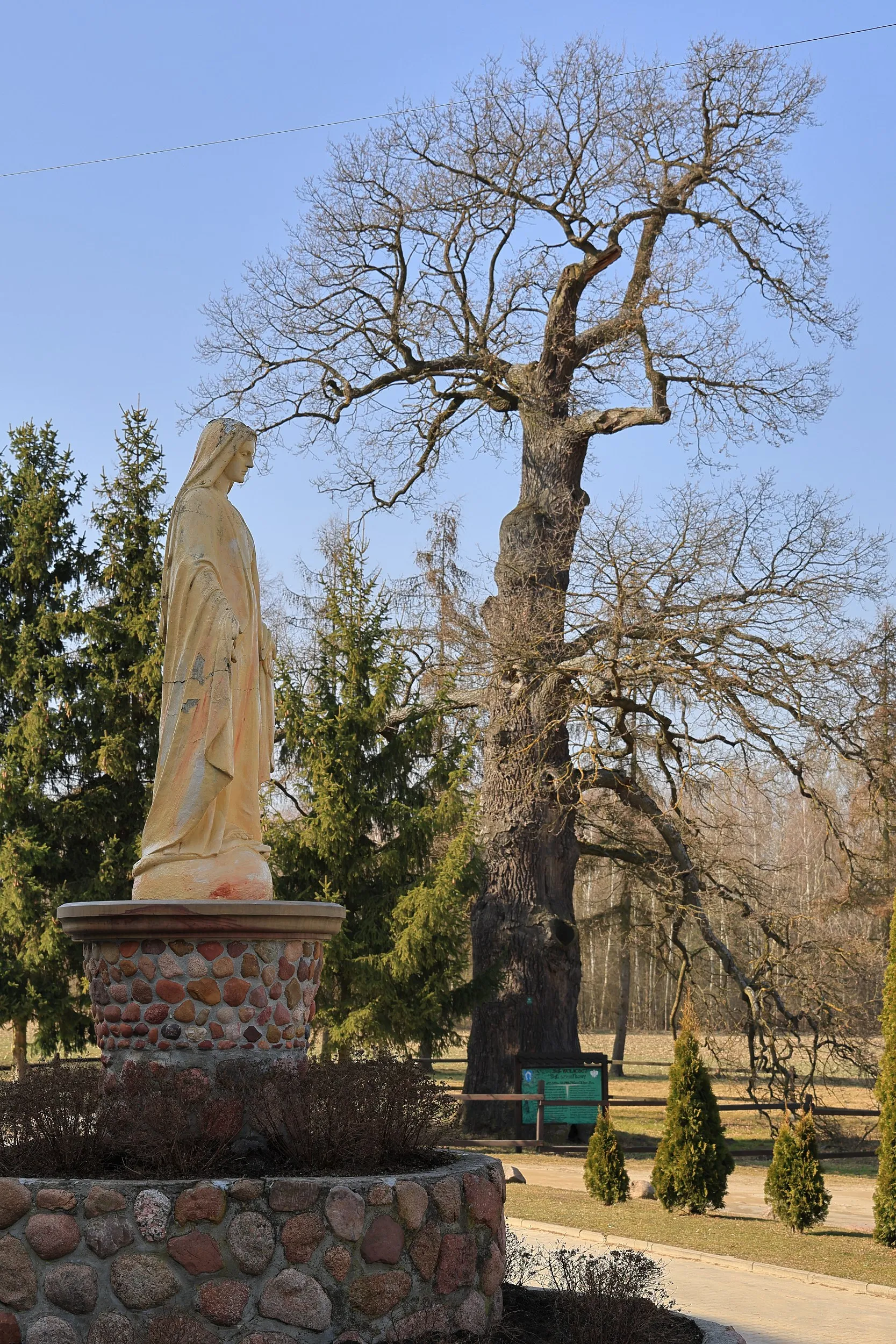 Figura Matki Bożej na kamiennym postumencie przy kościele. W tle widoczne są drzewa i przykościelny teren zielony.