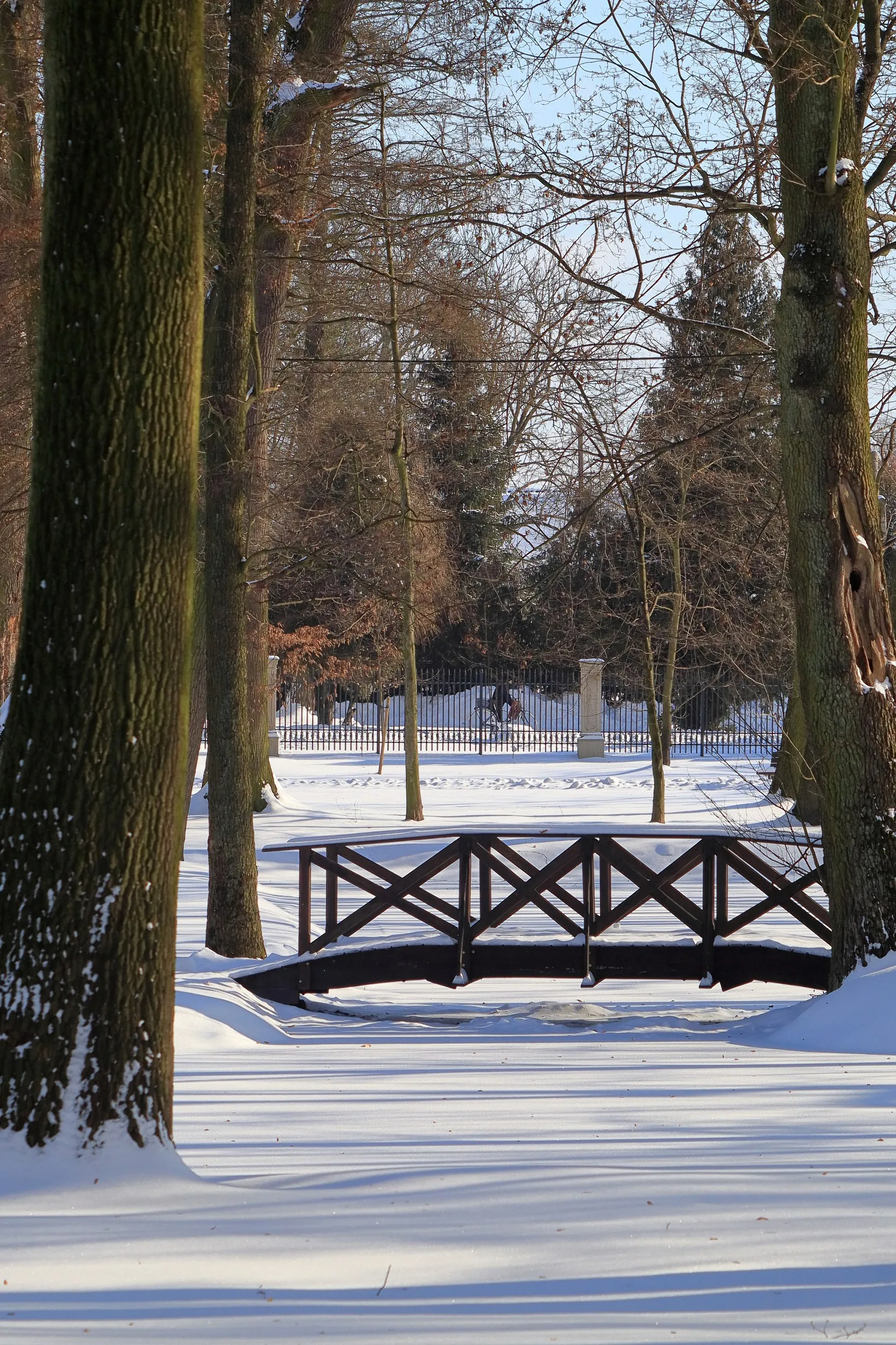 Park przy dworze w Żytnie zimą. Drewniany mostek nad niewielkim ciekiem wodnym otaczają ośnieżone alejki i wysokie drzewa.