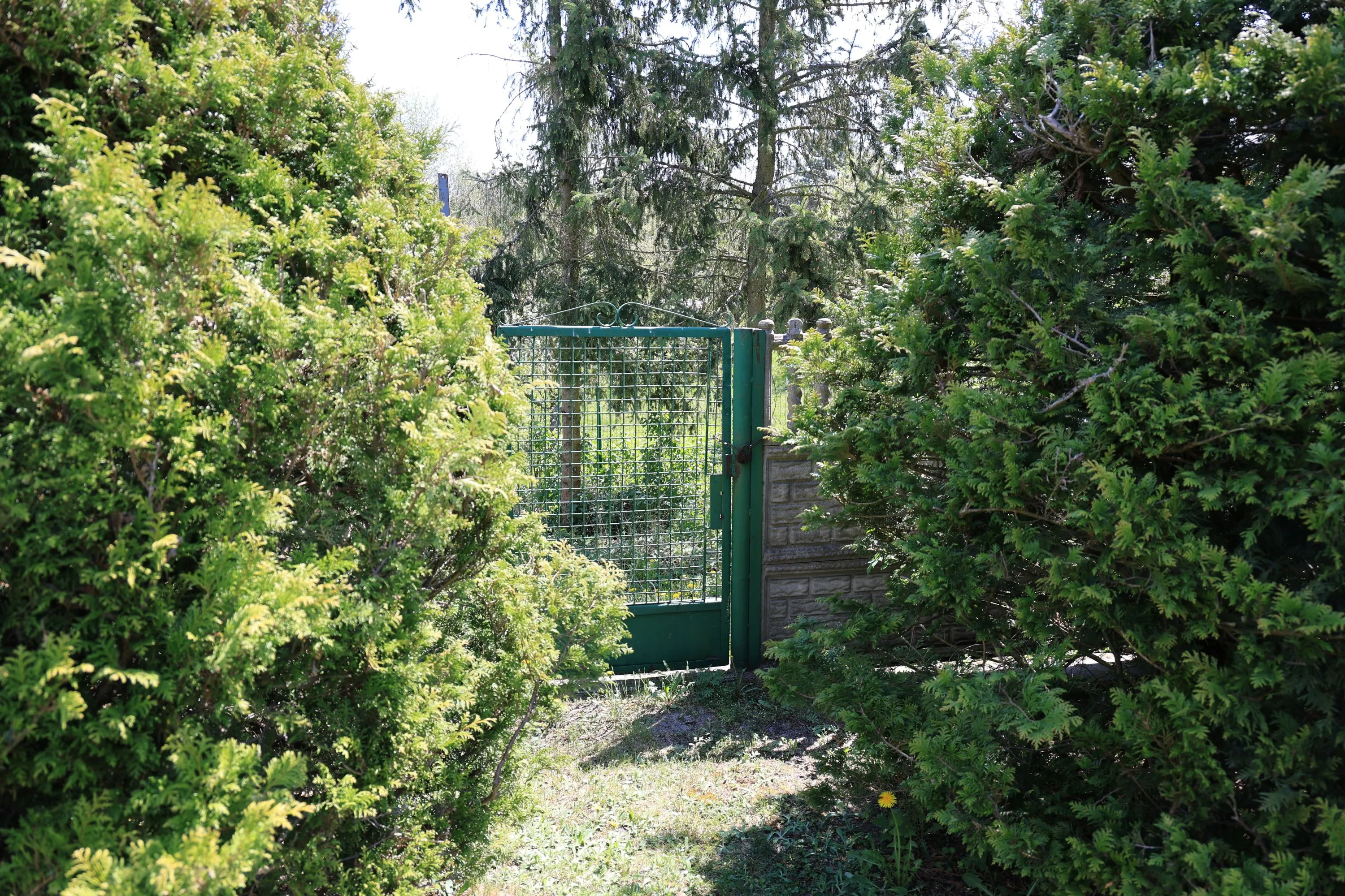 Furtka prowadząca do ogrodu i terenów rekreacyjnych przy Domku nad Pilicą w Krzętowie.
