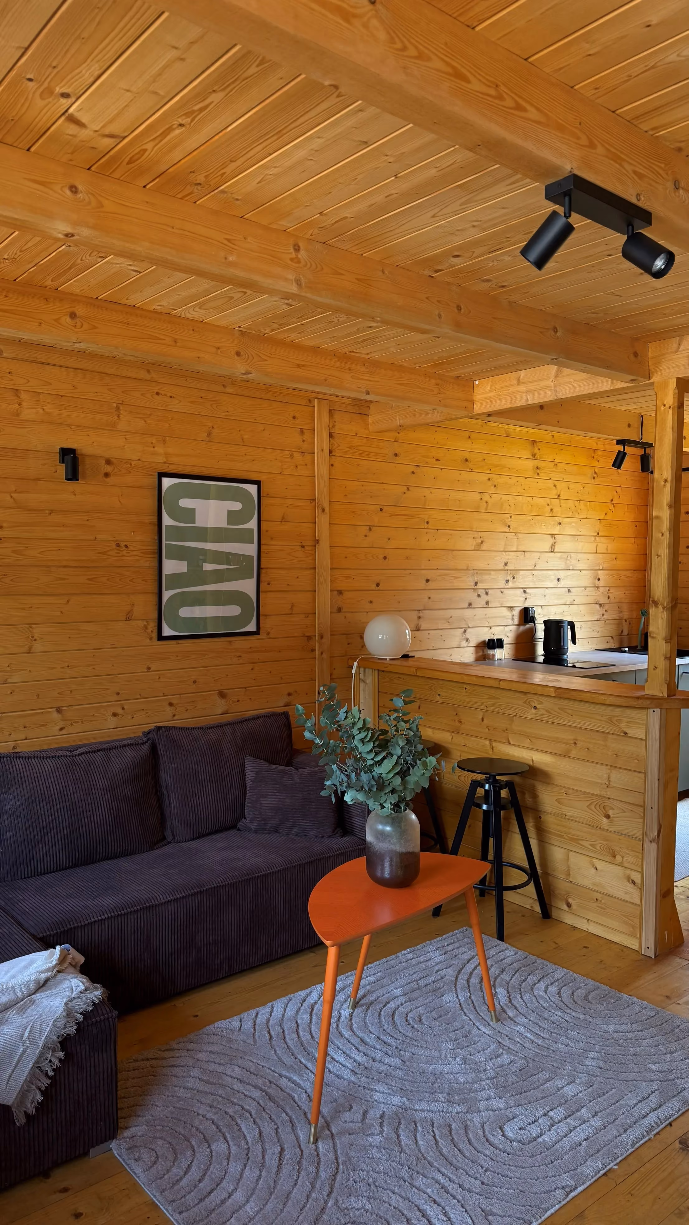 Przytulny salon z wygodną sofą i drewnianym wykończeniem wnętrza.