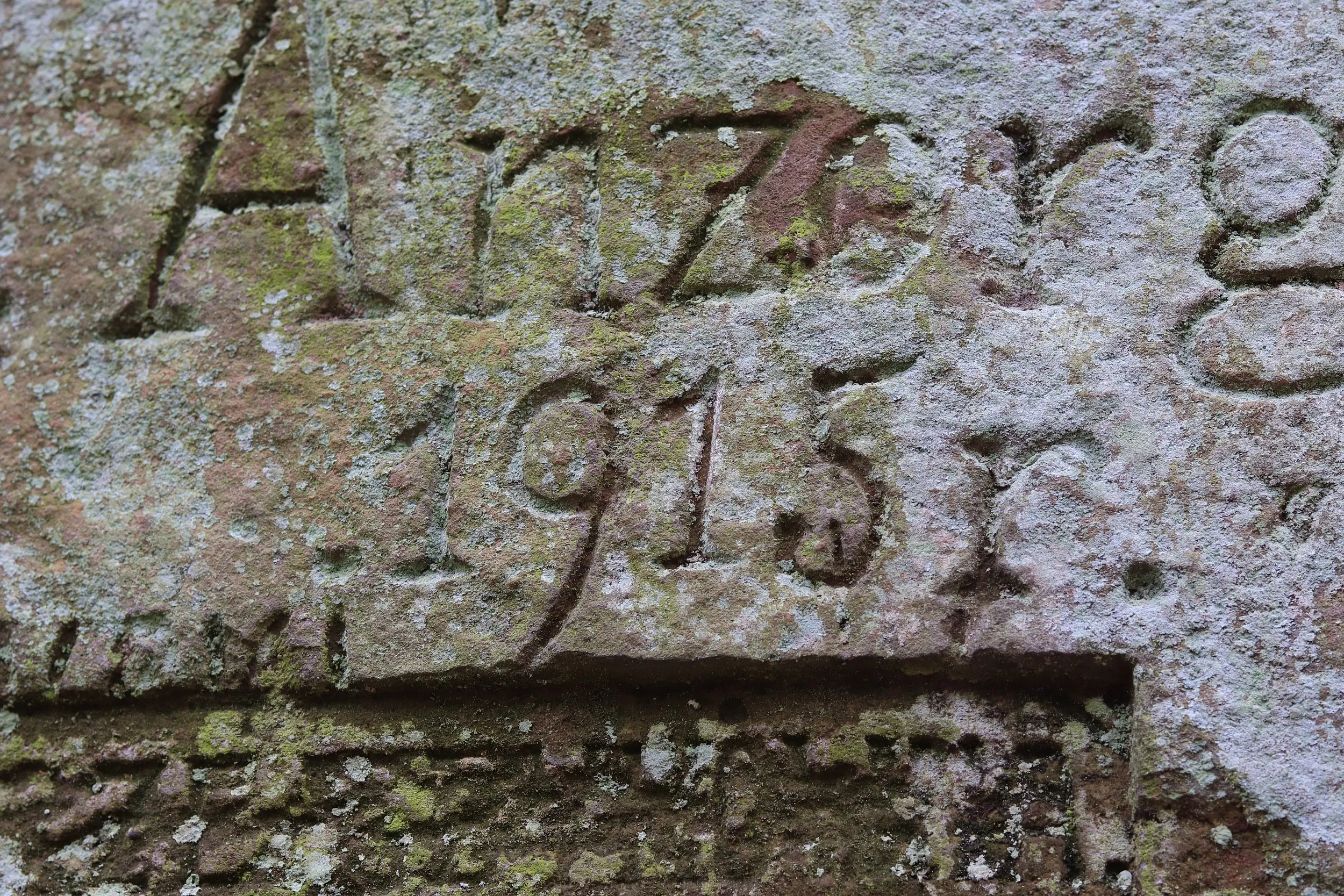 Fragment skalnej ściany z widoczną wyrytą  datą 1915, porośniętego porostami i mchem na terenie rezerwatu „Góra Chełmo”.