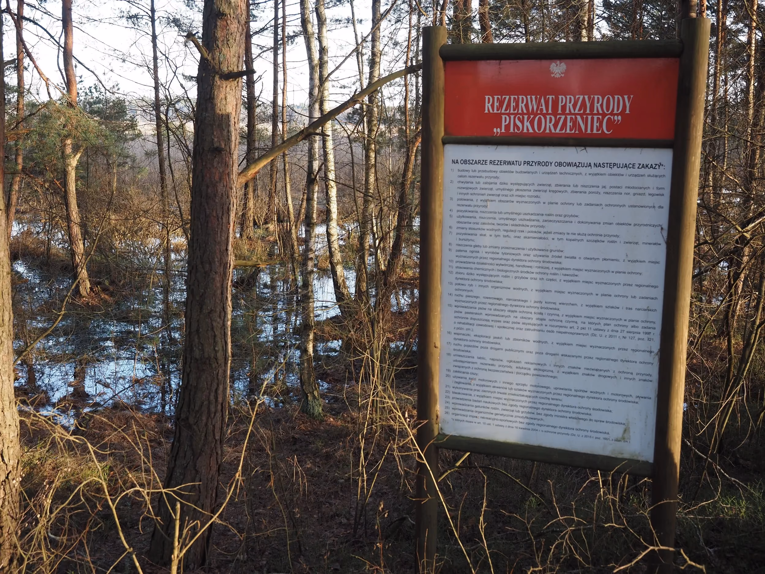 Tablica informacyjna rezerwatu przyrody „Piskorzeniec” ustawiona przy podmokłym lesie. W tle widoczne są drzewa i rozlewiska charakterystyczne dla obszarów bagiennych.