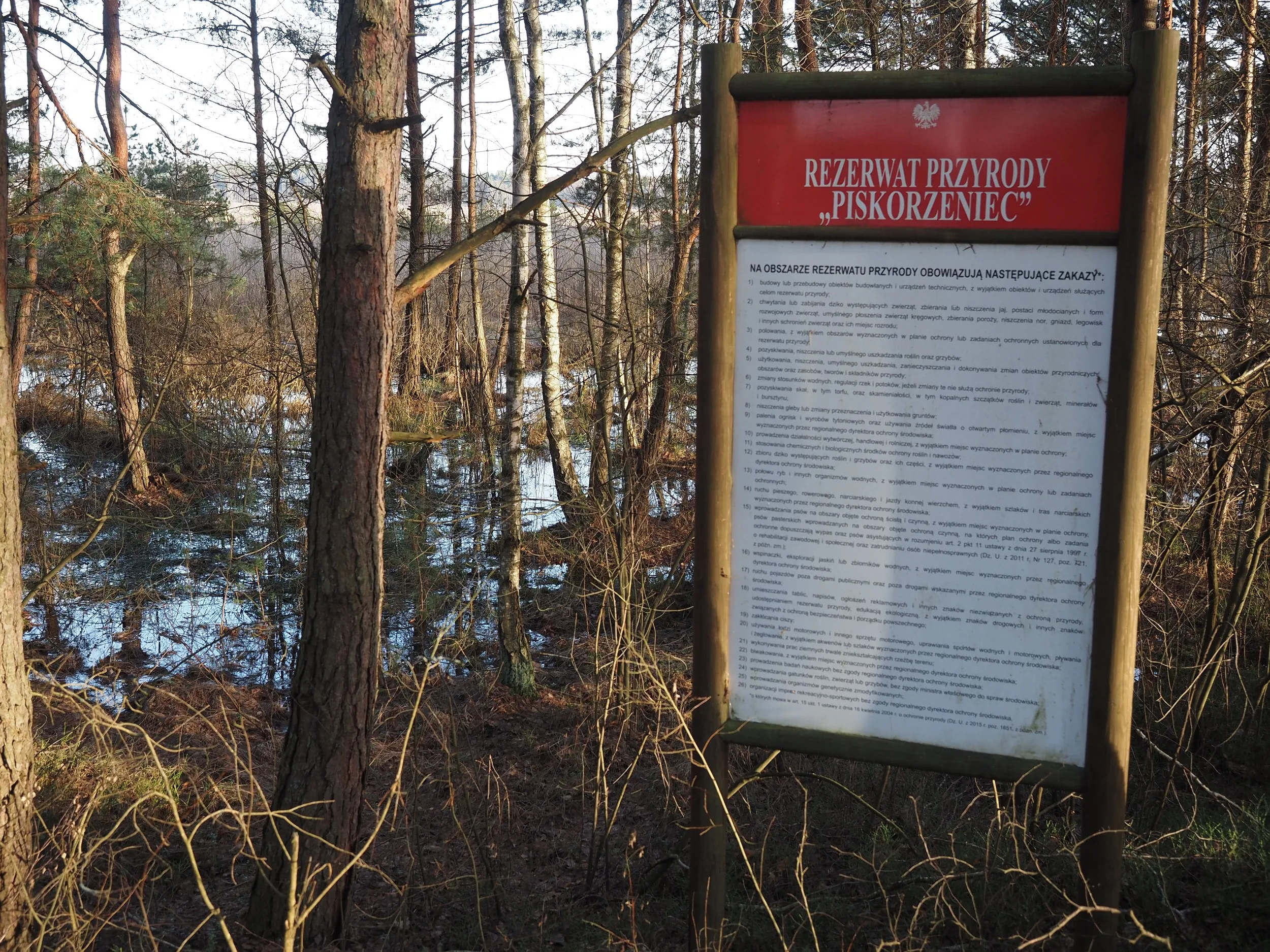 Tablica informacyjna rezerwatu przyrody „Piskorzeniec” ustawiona przy podmokłym lesie. W tle widoczne są drzewa i rozlewiska charakterystyczne dla obszarów bagiennych.
