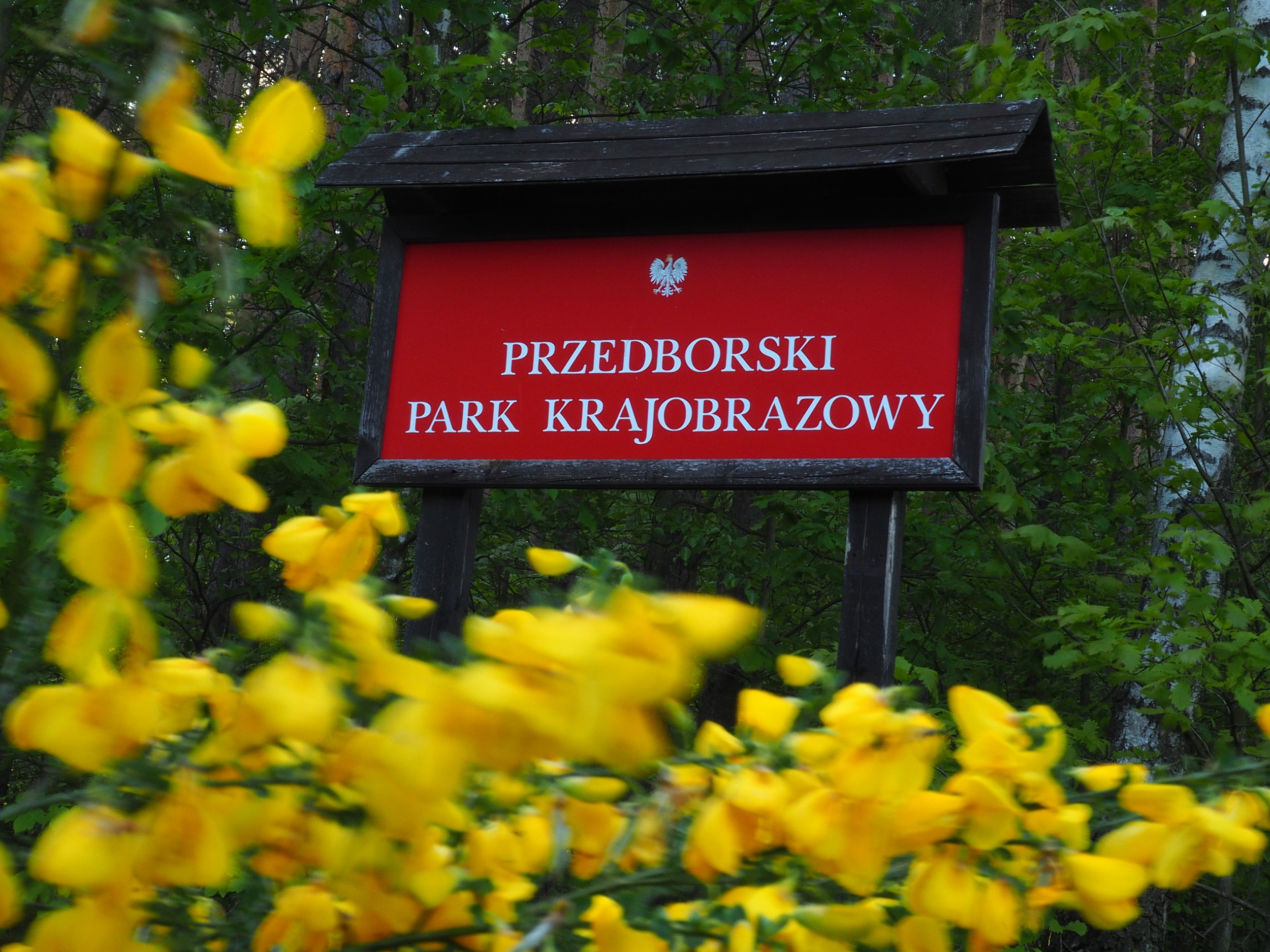 Przedborski Park Krajobrazowy