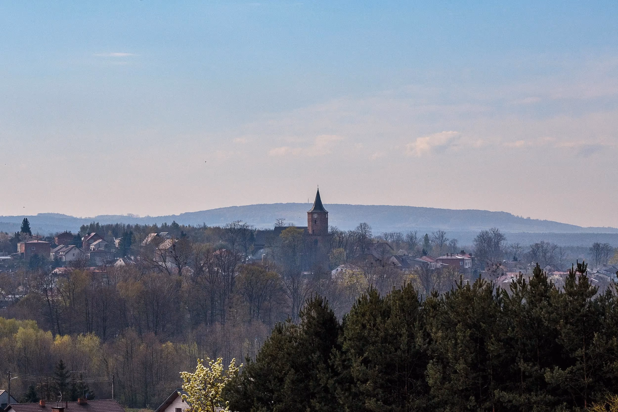 Panorama Przedborza oglądana z Majowej Góry. Wśród zabudowy wyróżnia się wieża kościoła, a w tle widoczne są zalesione wzgórza i dolina Pilicy.