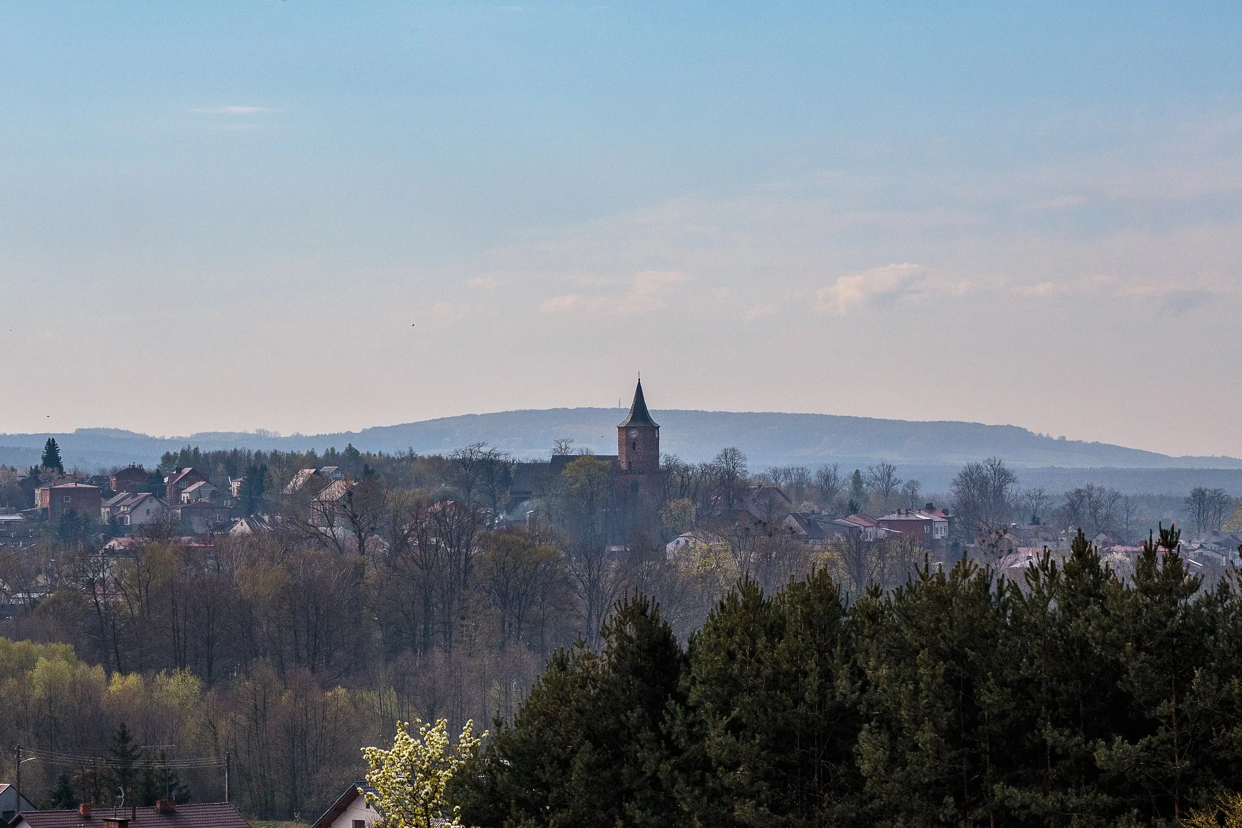 Panorama Przedborza oglądana z Majowej Góry. Wśród zabudowy wyróżnia się wieża kościoła, a w tle widoczne są zalesione wzgórza i dolina Pilicy.