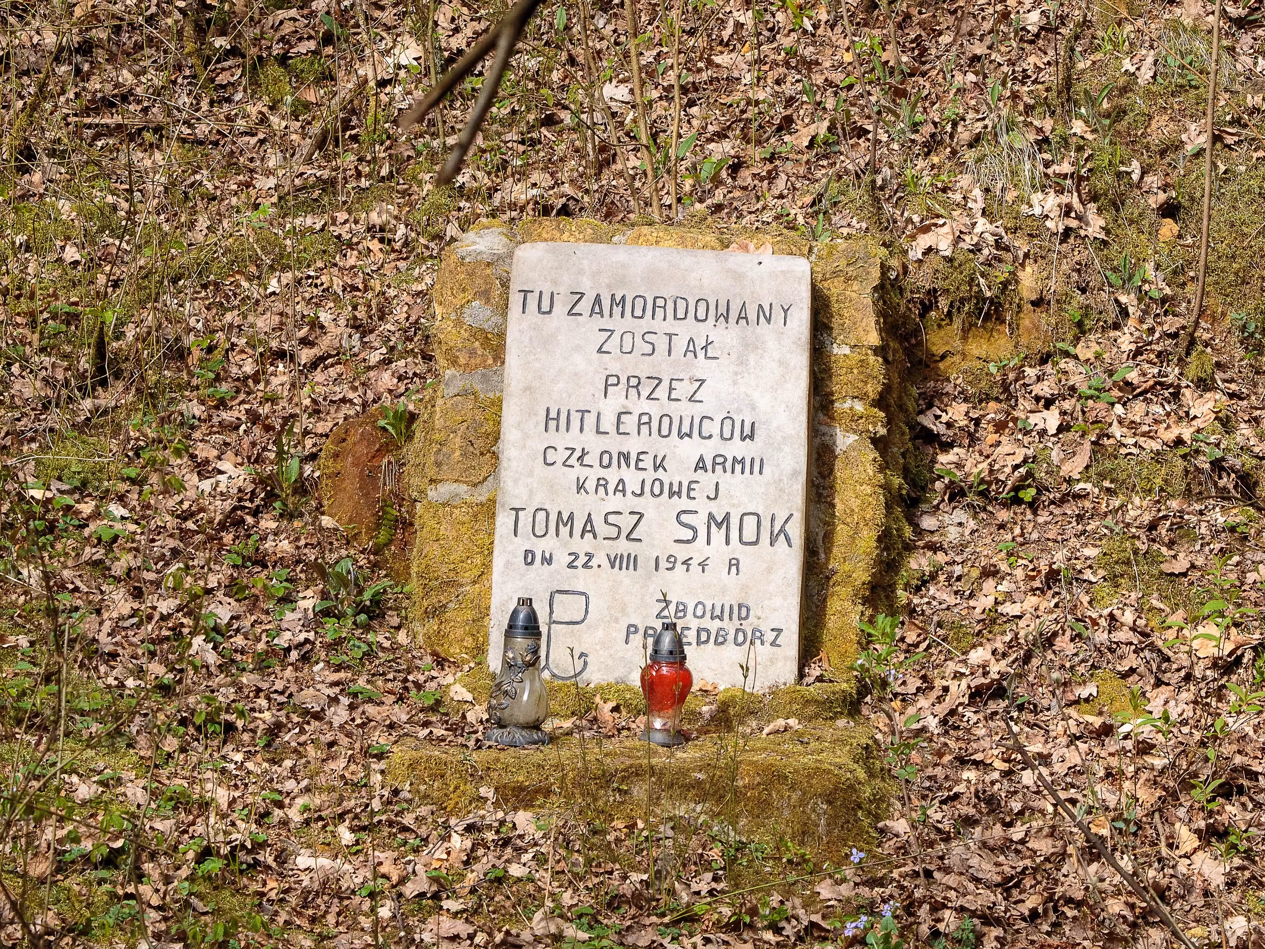 Pomnik upamiętniający Tomasza Smoka, żołnierza Armii Krajowej zamordowanego przez hitlerowców w 1944 roku. Miejsce pamięci znajduje się w dawnym kamieniołomie na zboczu Majowej Góry w Przedborzu.