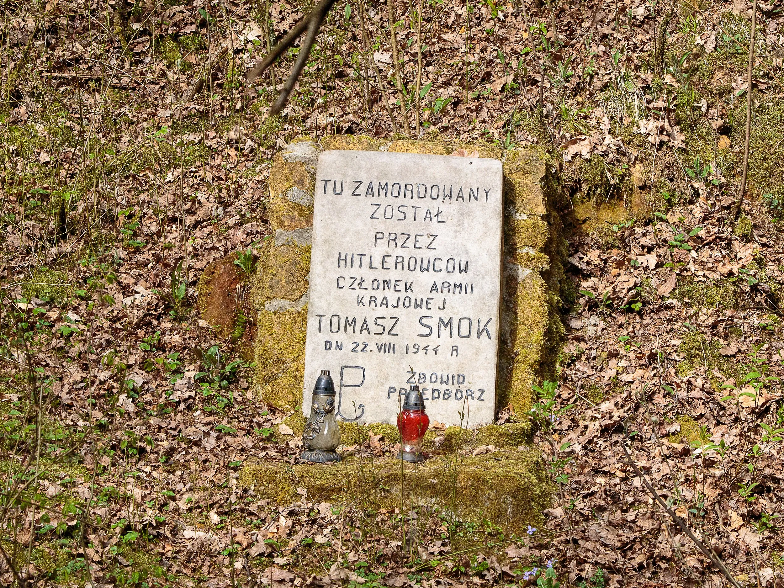 Pomnik upamiętniający Tomasza Smoka, żołnierza Armii Krajowej zamordowanego przez hitlerowców w 1944 roku. Miejsce pamięci znajduje się w dawnym kamieniołomie na zboczu Majowej Góry w Przedborzu.