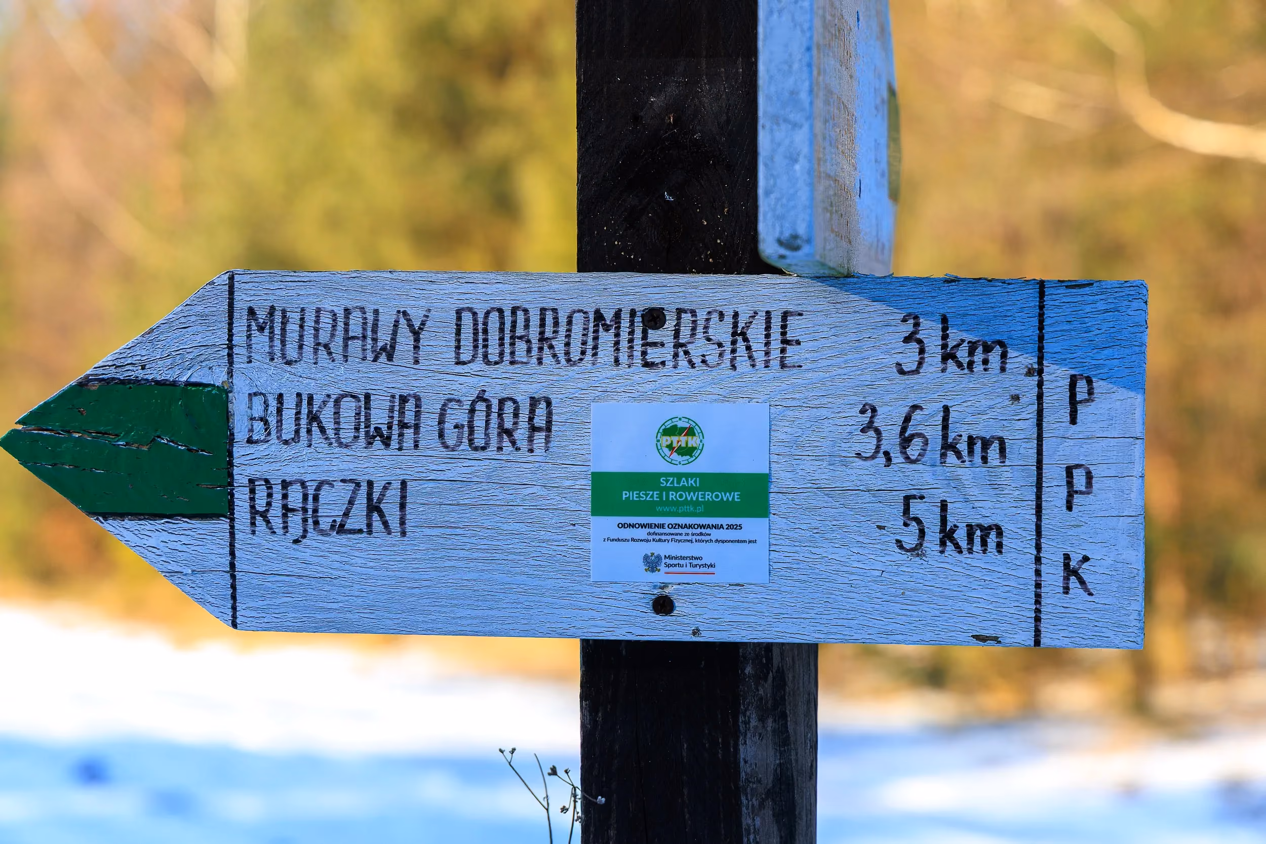 Turystyczny kierunkowskaz na zielonym szlaku pieszym w Przedborskim Parku Krajobrazowym
