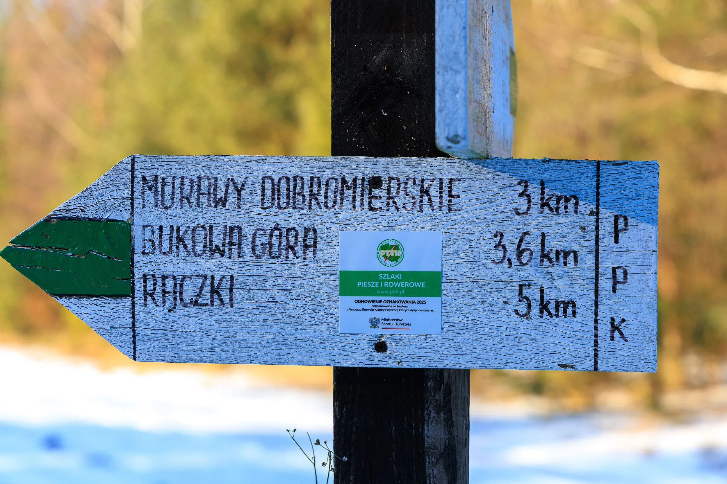 Turystyczny kierunkowskaz na zielonym szlaku pieszym w Przedborskim Parku Krajobrazowym