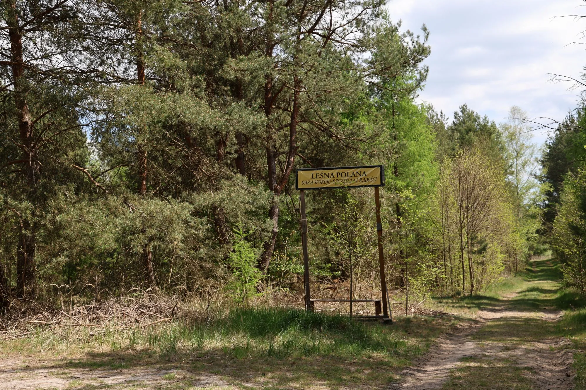 Leśna ścieżka prowadząca przez teren otaczający ośrodek.