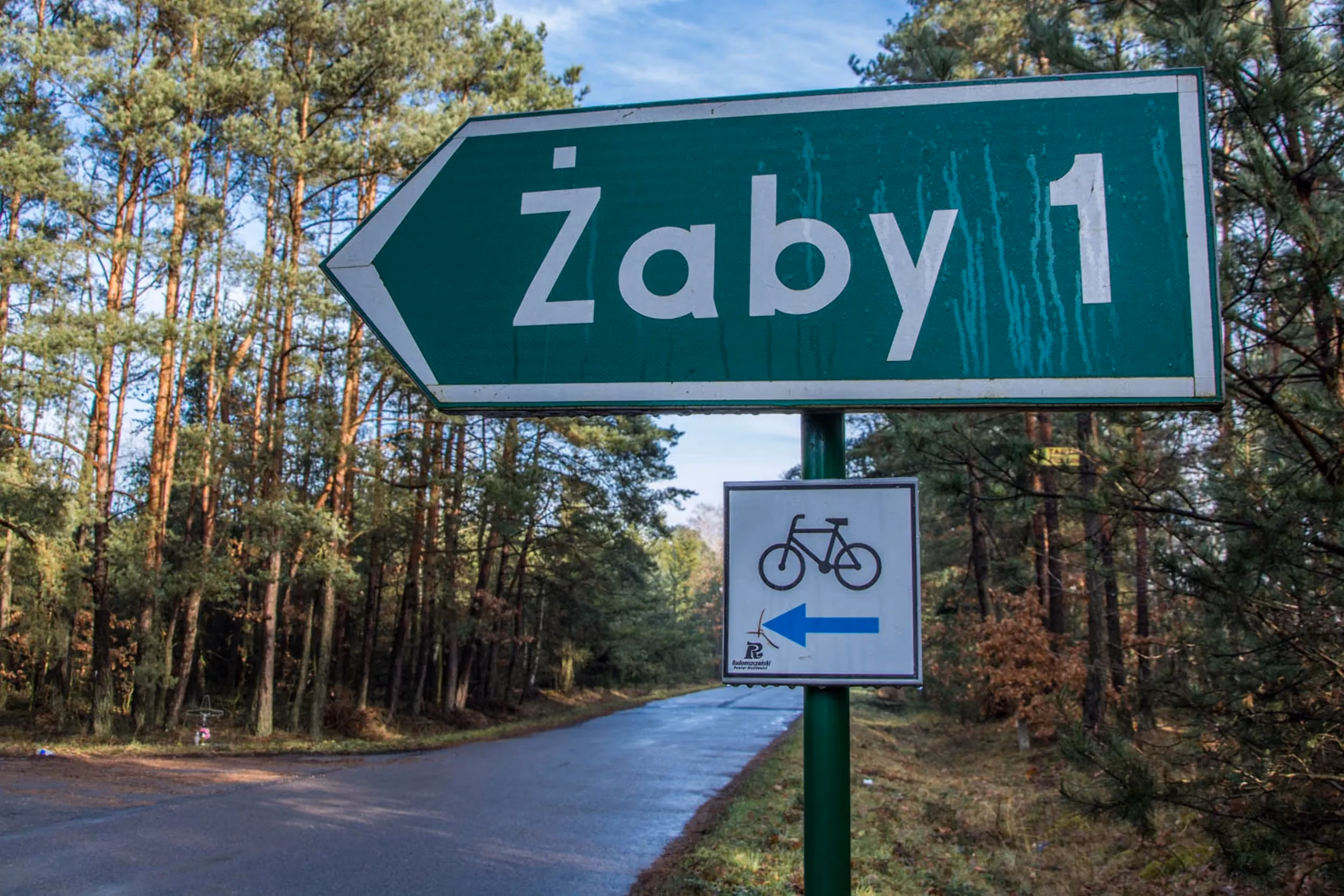 Drogowskaz Powiatowego Szlaku Rowerowego wskazujący kierunek do miejscowości Żaby. Znak stoi przy asfaltowej drodze prowadzącej przez sosnowy las.