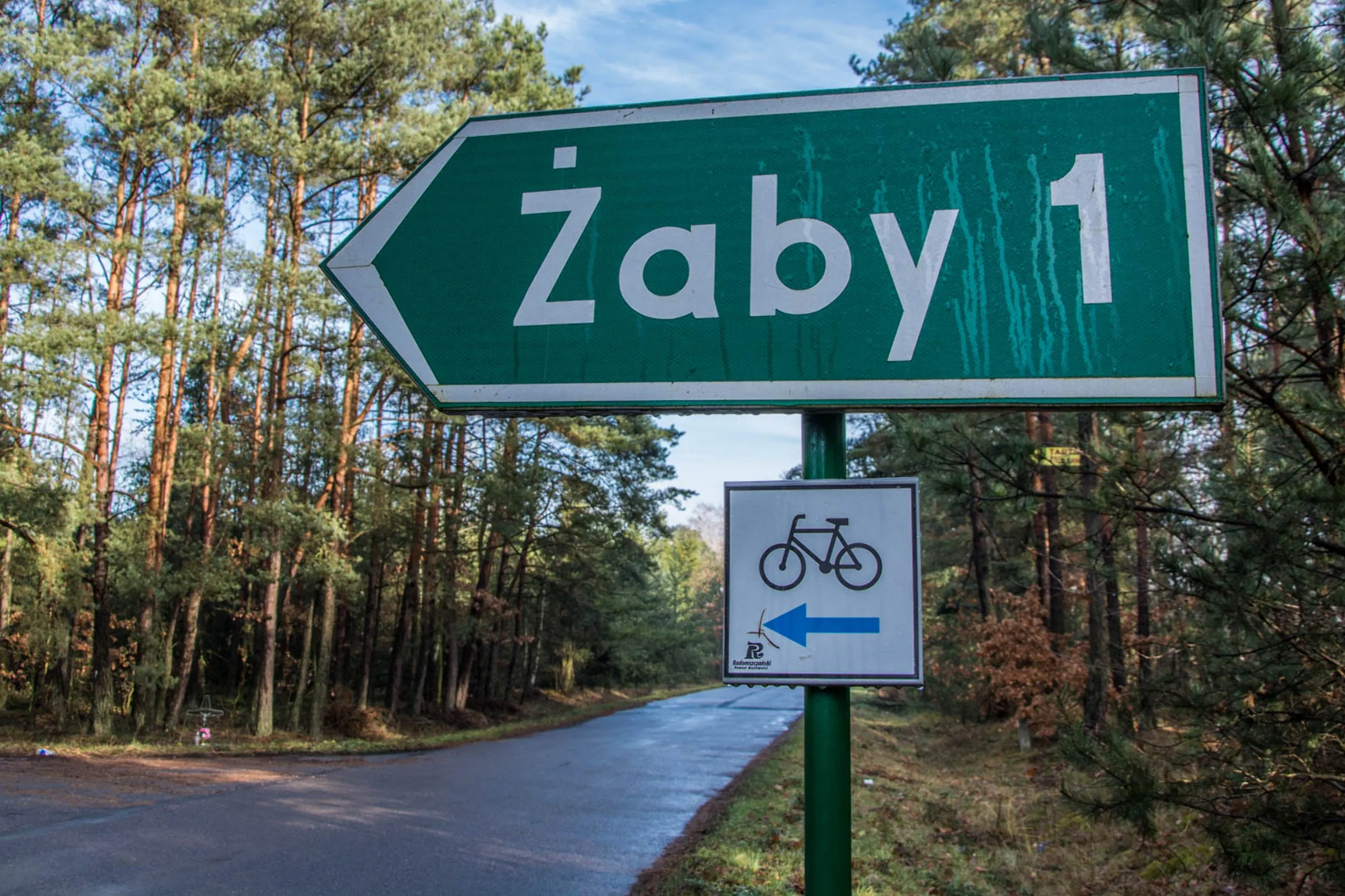 Drogowskaz Powiatowego Szlaku Rowerowego wskazujący kierunek do miejscowości Żaby. Znak stoi przy asfaltowej drodze prowadzącej przez sosnowy las.