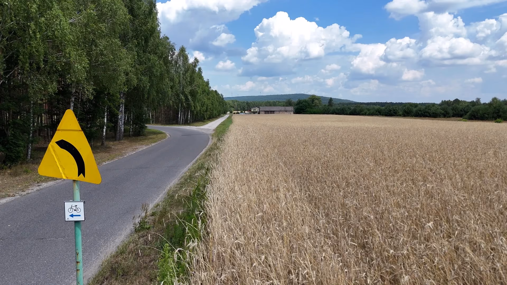 Asfaltowy odcinek Powiatowego Szlaku Rowerowego prowadzący między lasem a polem zboża. W tle widoczne są zabudowania i wzgórza.