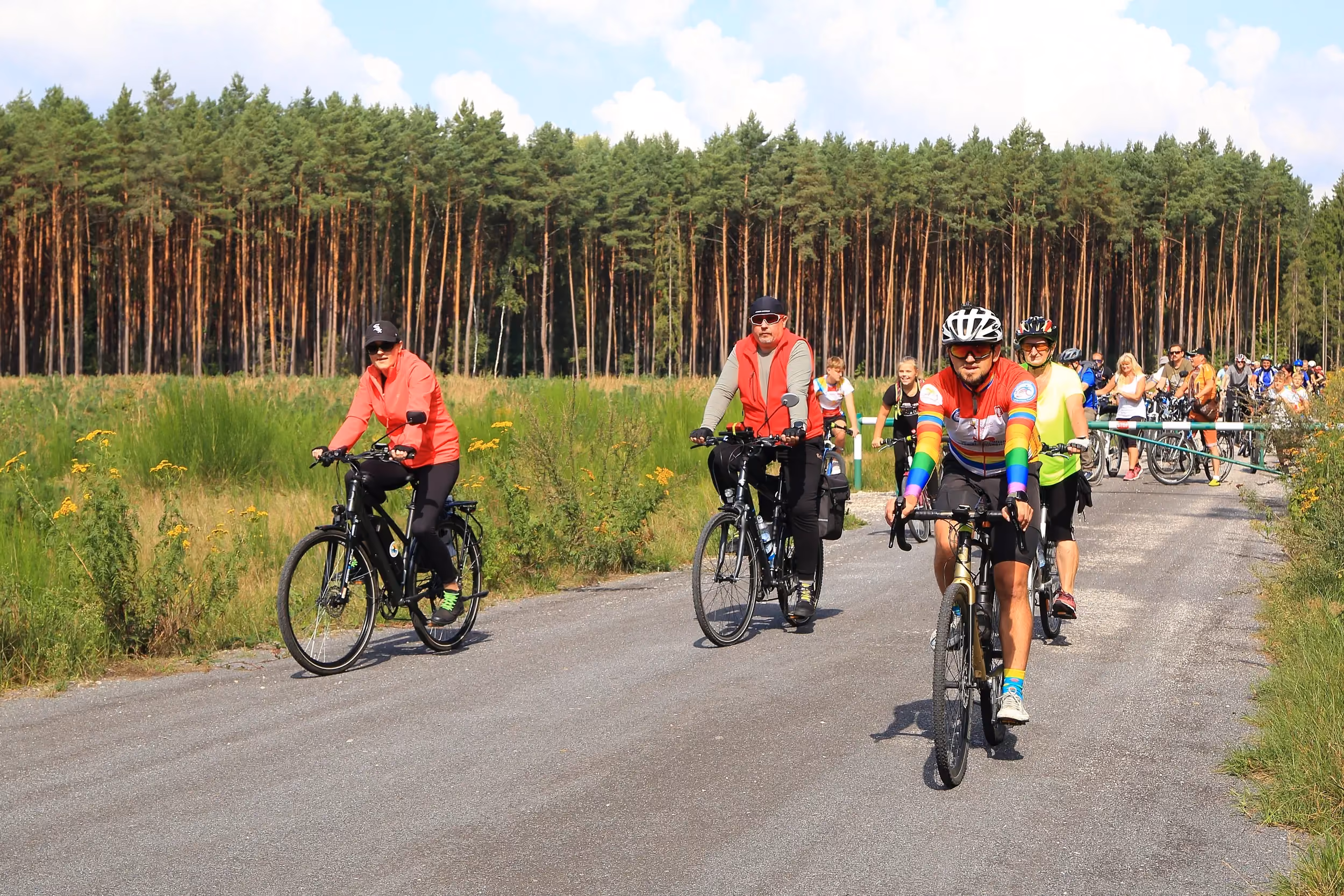 Grupa rowerzystów jedzie Rodzinną Ścieżką Rowerową przez teren leśny. Trasa prowadzi drogą wśród łąk i wysokich sosen.