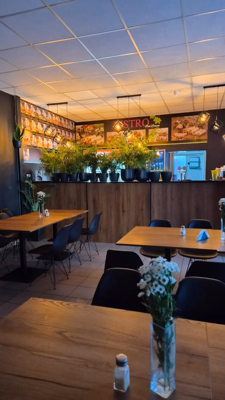 Wnętrze Bistro Pod Klonem z miejscami siedzącymi dla gości oraz dekoracyjną zielenią przy barze