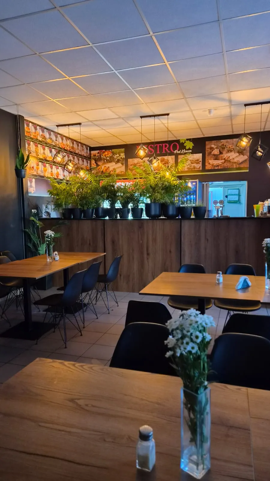 Wnętrze Bistro Pod Klonem z miejscami siedzącymi dla gości oraz dekoracyjną zielenią przy barze