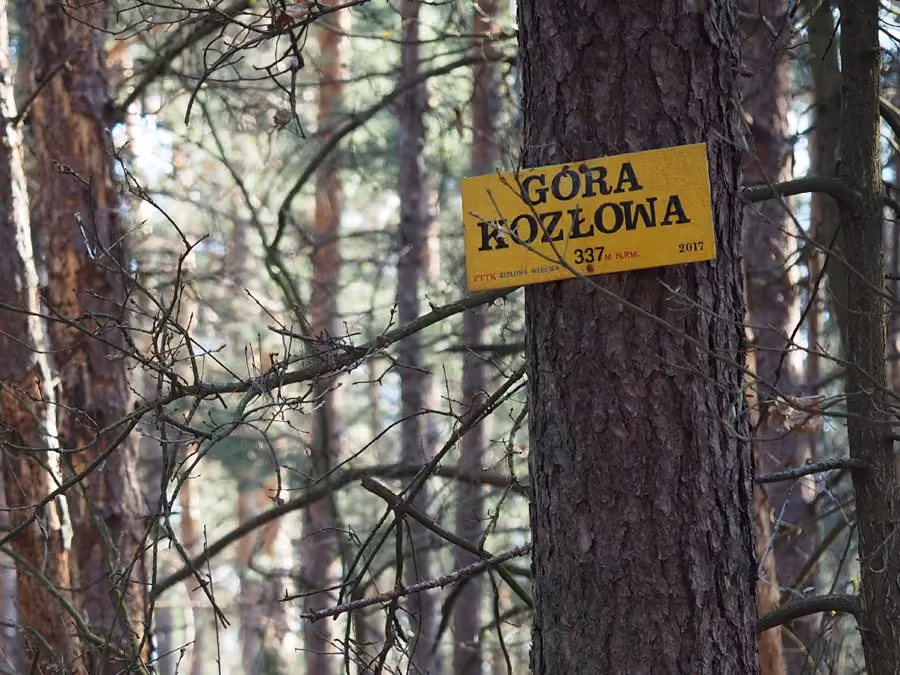 Góra Kozłowa